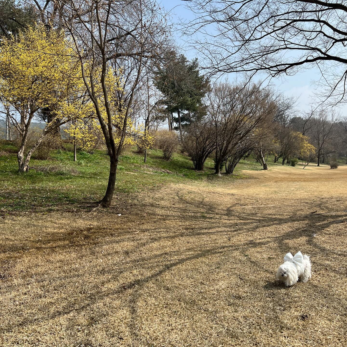 #매화
#현충사
#정매원 
#한우사랑염치점