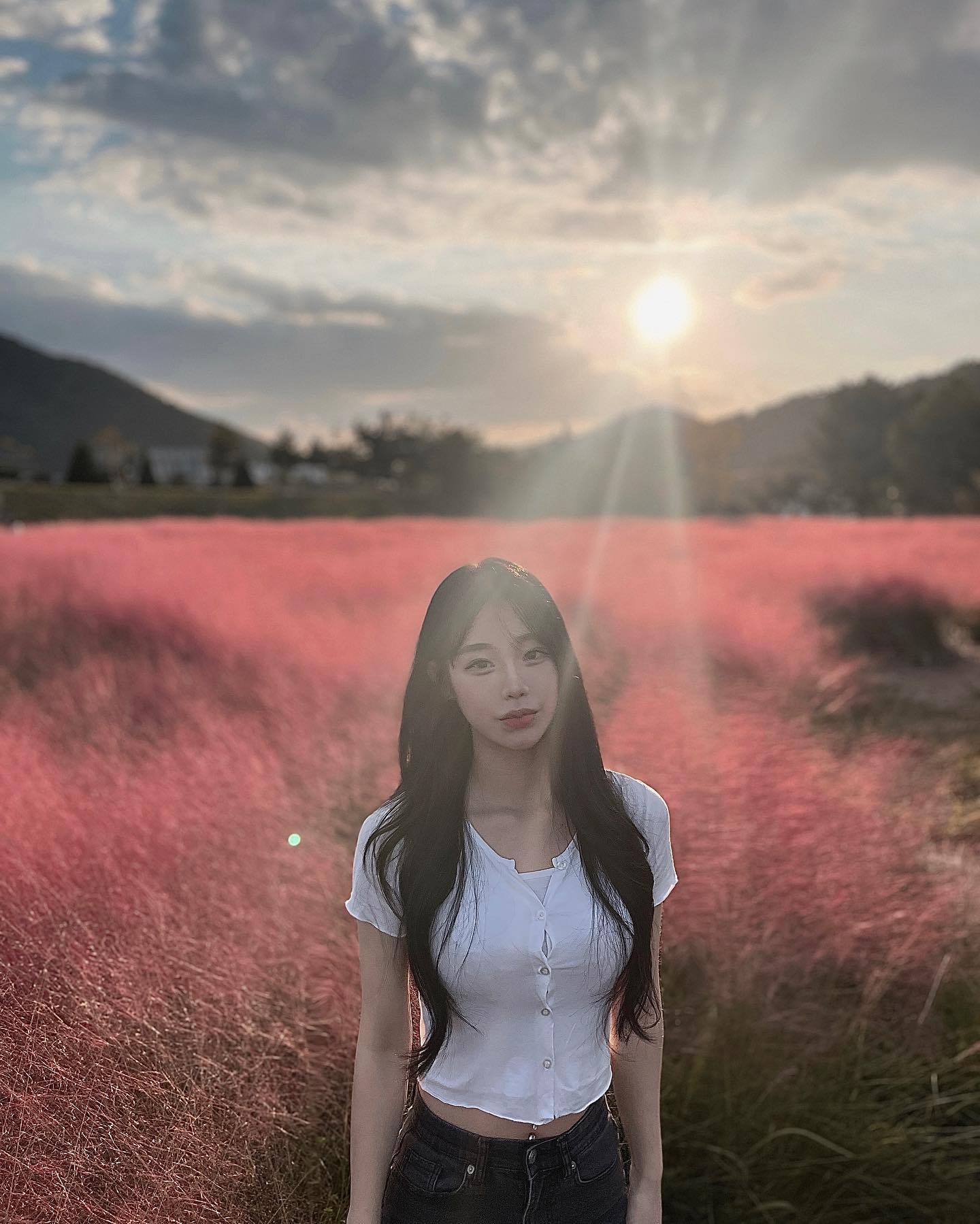 핑뮬보구왔다