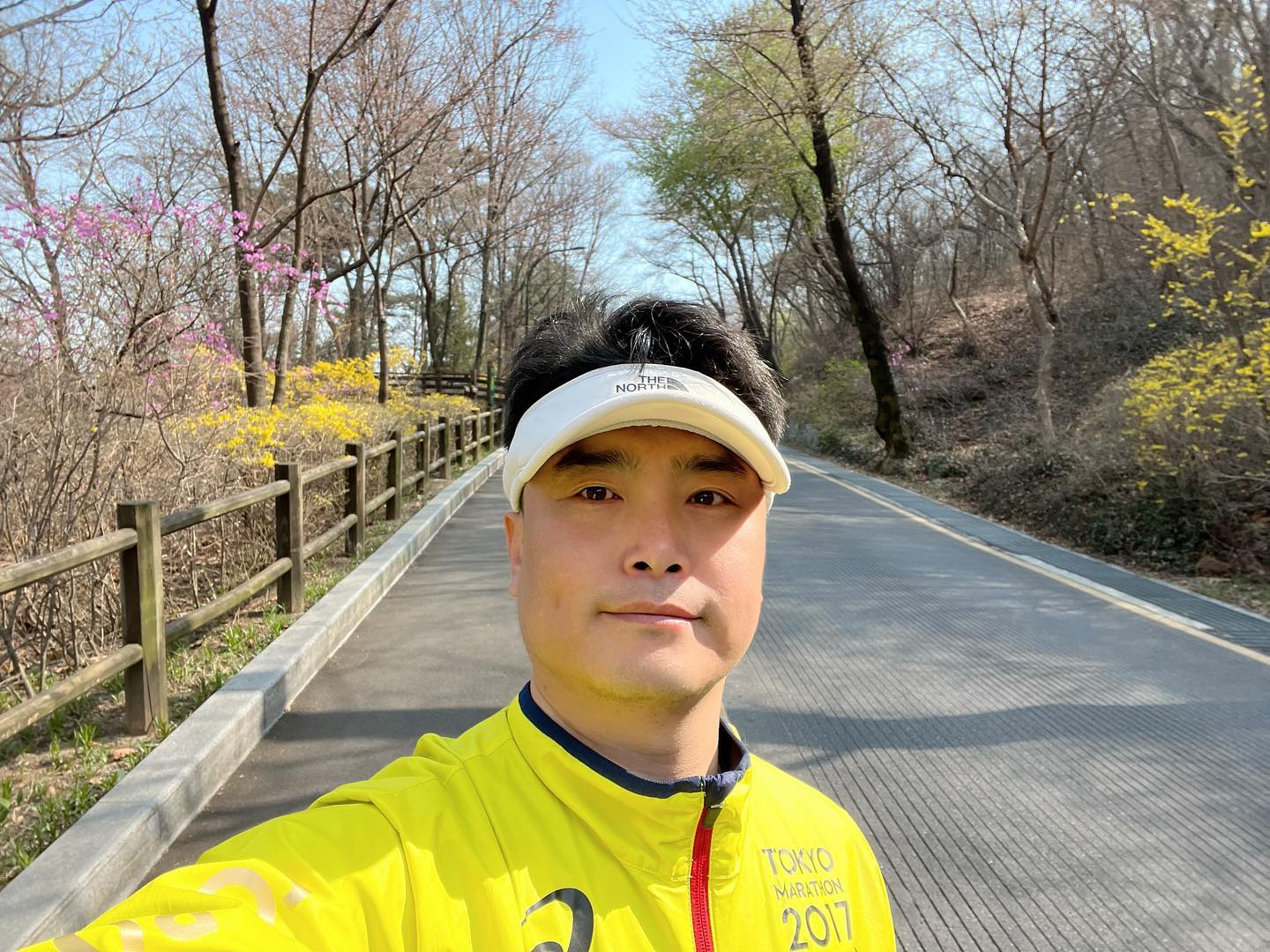 #남산 #개나리 #산책
#명동 #남산산책로 #이태원야외식물원 코스 
한가롭게 걷기 ~~