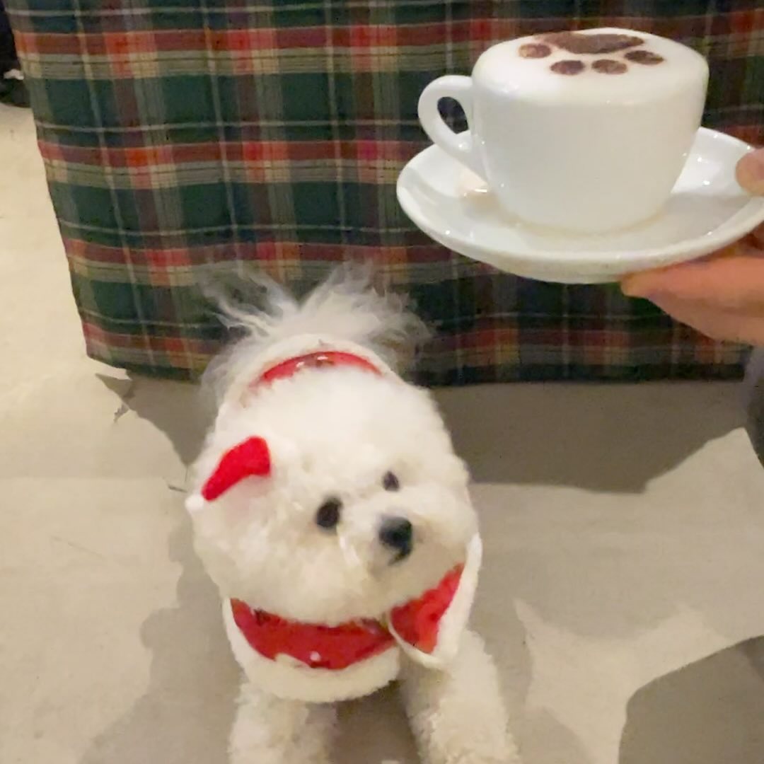 ᴴᵃᵖᵖʸ ᵃᵃᵃᵒᵒᵒ ᵈᵃʸ🎅🏻🎄