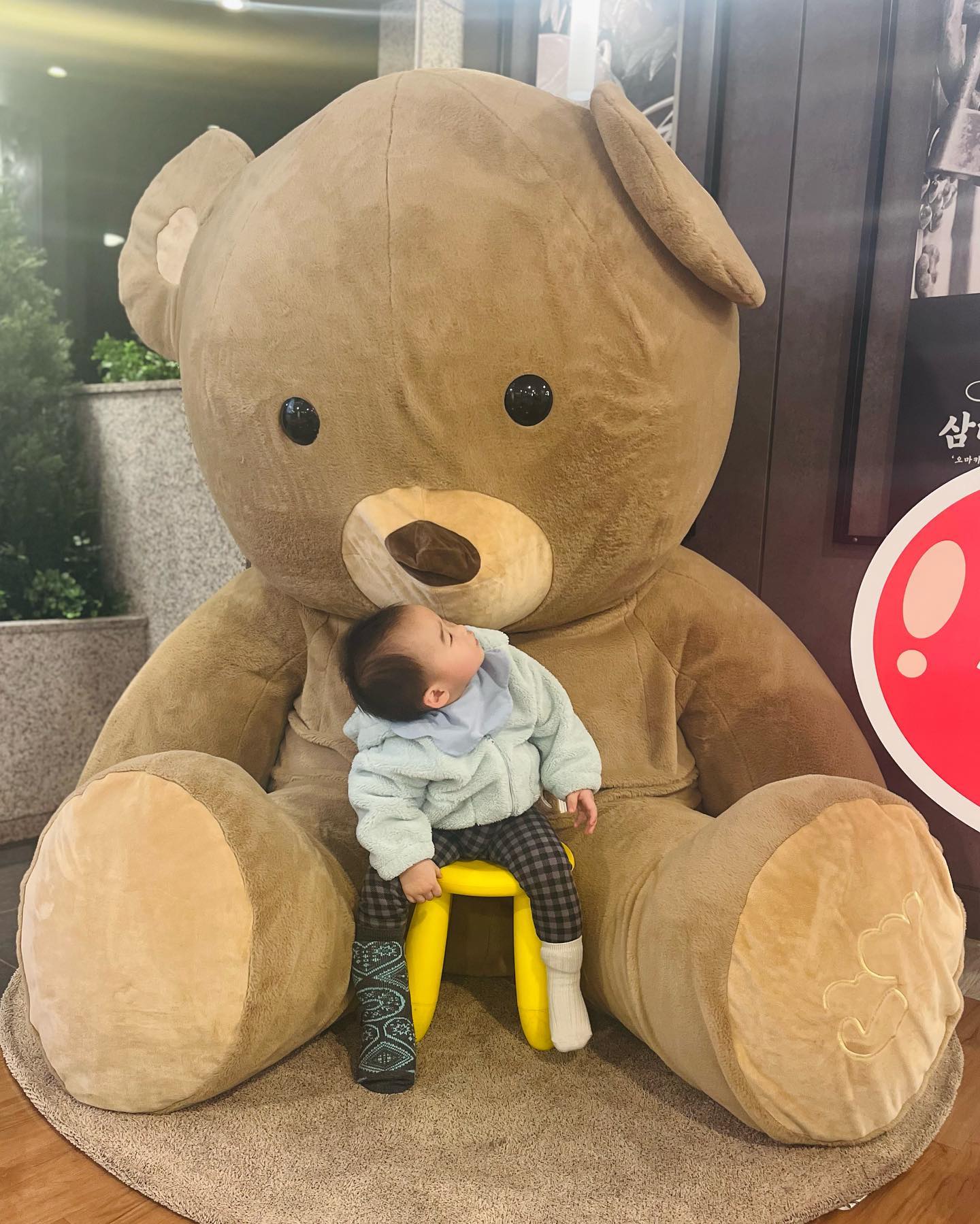 D + 652

집콕해서 유누도 나도 힘들었는데
유니덕에 콧바람❤️
맛있게 밥도 먹고 카페도 가고
너무너무 행복했던 하루

도겸엄마 고마워용❤️
대딩친구가 동갑내기 아기를 키울줄이야 ㅋㅋㅋ
신기하고 고맙❤️

#21개월아기 #삼대애 #콧바람쐬러 #통깁스아기랑외출