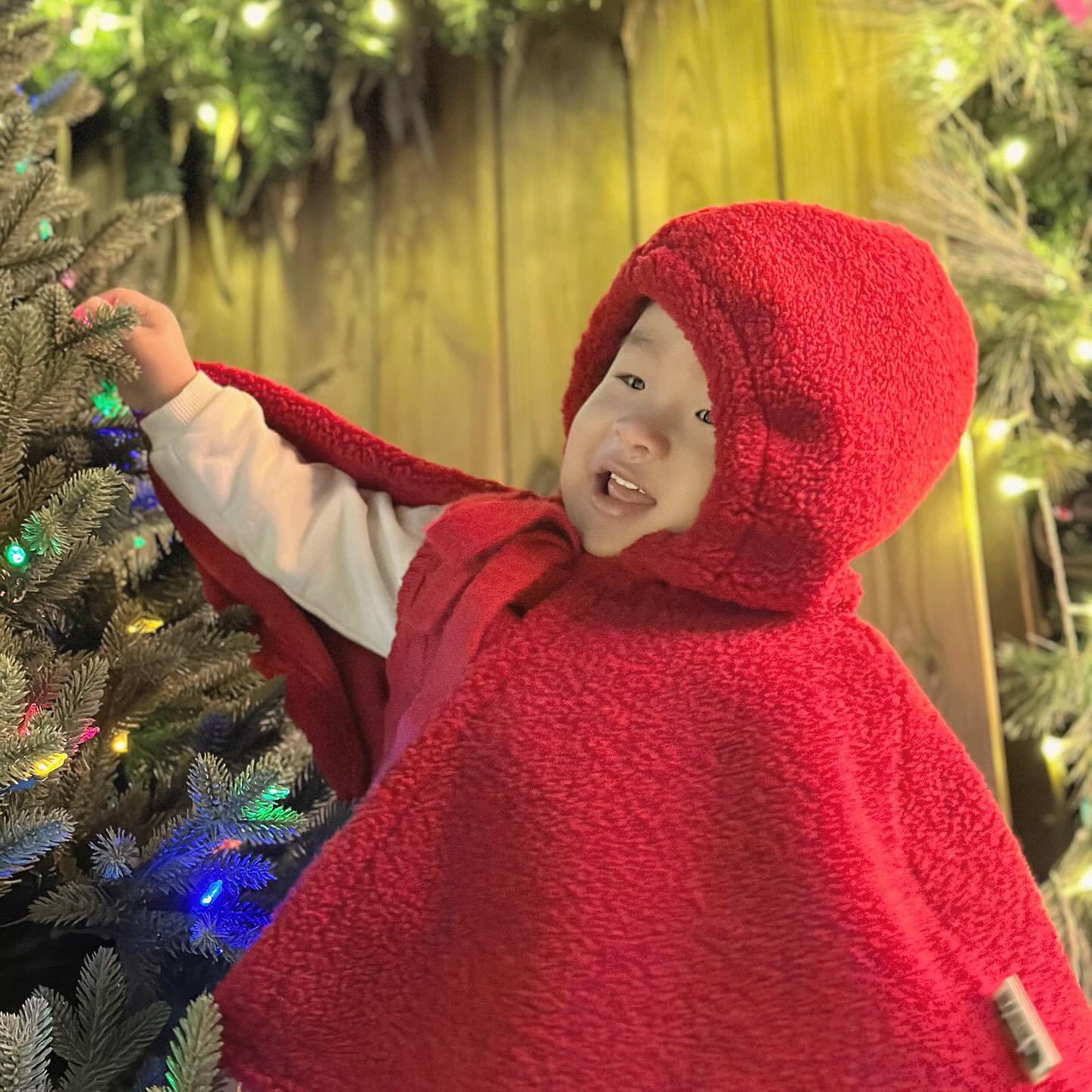 .
만듀의 크리스마스 연휴 첫 날🎄

여행만 가면 도장깨기 중인 아쿠아리움 필수!
아쿠아리움 도착하자마자 유리에 착! 붙어서
관람을 시작했다:)

벨루가 관람 중 산타분장응 한 다이버분이 나와
우와!우와! 하며 보일 때마다 인사를 하던 만두에게
다이버분이 만두를 콕 찝어 
벨루가와 함께 인사를 해주셨다😆

운좋게 한 커플이 주신 스탬프북을 한 번 찍으니
만두도 찍고싶다고 하여 찍을 수 있게 해주니
너무나 좋아했다!!

숙소 도착해서 옷 갈아입고
라테라스 윈터빌리지로 가니 주차할 곳이....
길가에 주차를 하라고 해서 길가에 주차하고
후다닥 들어가서 사진찍다보니
인공눈이 사르르 내리니
만두가 너무너무 좋아햐줘서 뿌듯했다🥹