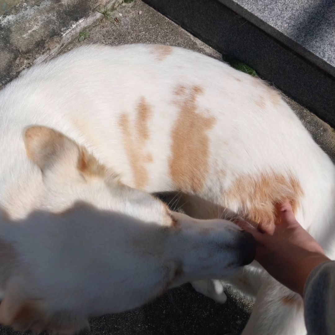 추석 때 오랜만에 눈나와 고모 보고 신나서 원이 되어버린 라뗑이😆 용돈도 받고 신나는 추석이었어요🌕 다들 즐거운 추석 보내셨나요??
