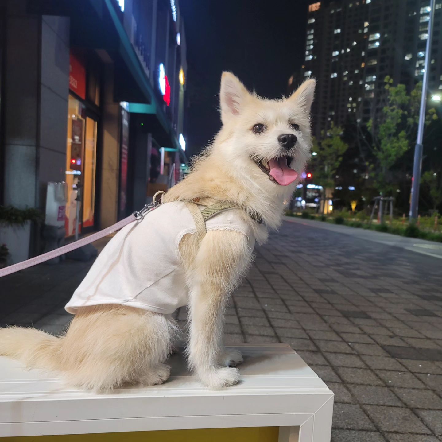 시원해져서 넘좋아 💕