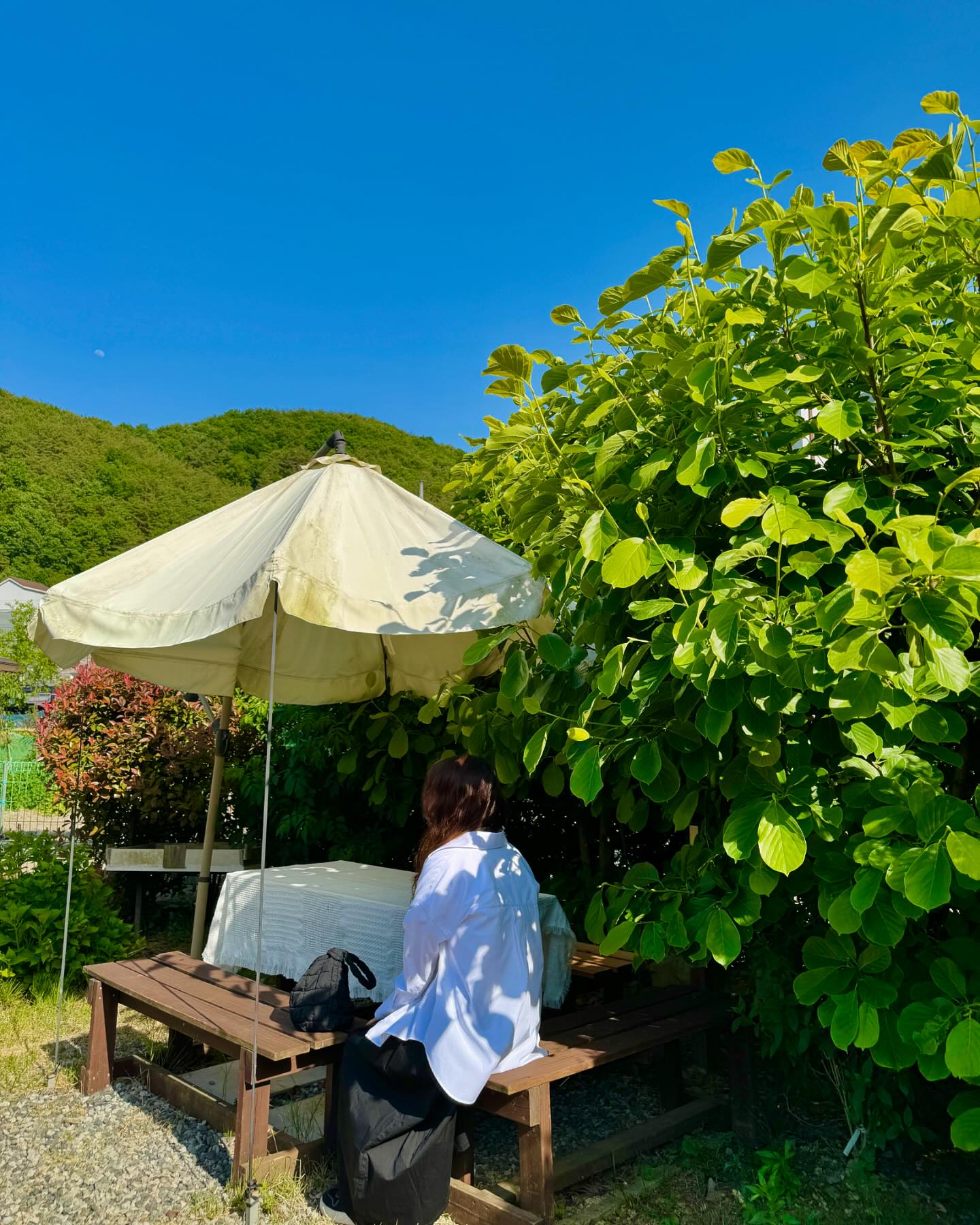 #차오름 카페

목향장미 보고 싶어서 왔는데
이미 지고 없더라 😅
그래도 뭔가 숲속카페 느낌 좋네
오랜만에 내 붕붕이 끌고 쭈니랑 드라이브 🚘