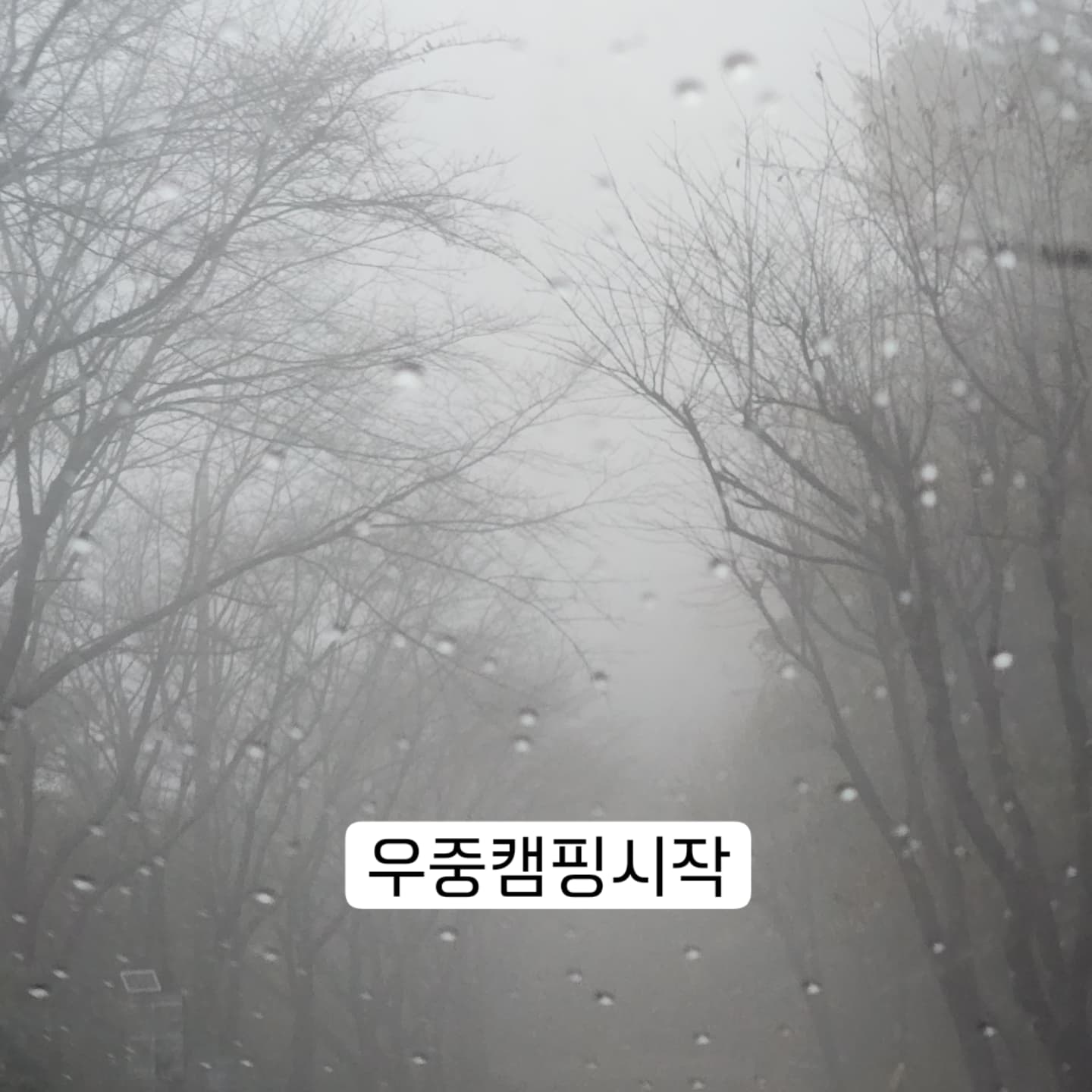 #11월

첫째 외동데이
7살 친구랑 같이 캠핑 🏕 ⛺️
캠핑갈때마다
형제끼리만 노는 거 봤는데
친구랑 같이 노는거 보니 
또 다른 모습이
 많이 보였던 2박3일

빗소리들으면서 시작했지만
집갈때는 햇님 반짝 🌞 🌞 

이준이 덕에 
좋은분들과 함께 
맛있는거 많이 먹고
즐거운시간 보내서 더 좋았던 

너무 좋아서 또 오고싶은곳 🥰🥰

#거장산오토캠핑장