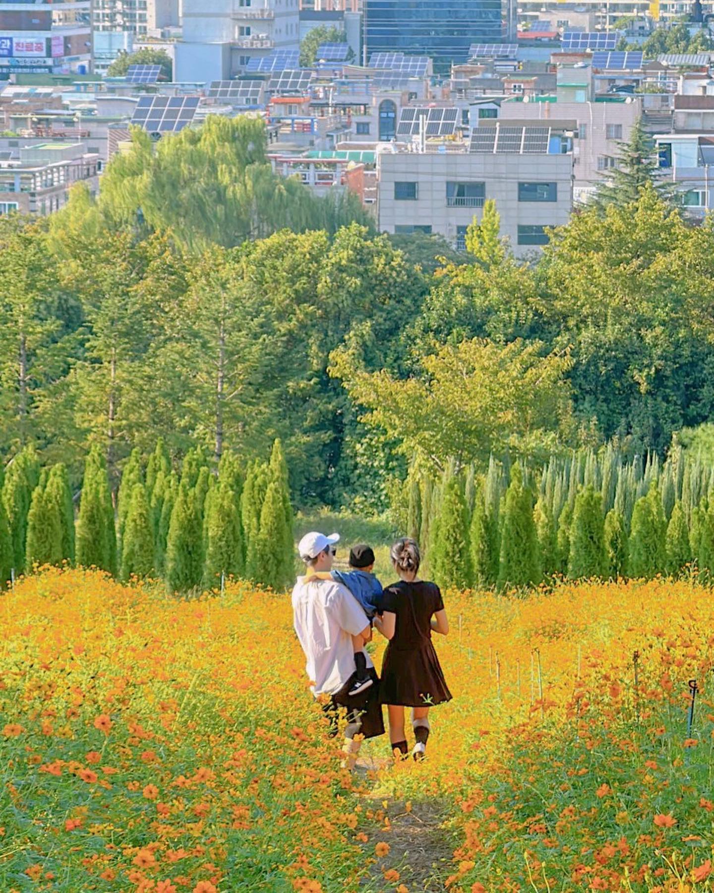 ⠀
대구 이월드 포시즌가든
시즌 별 다른 꽃들로 개화가 만발하여 사진찍기 너무 예쁜 곳, 지금 한창인 황화코스모스는 10월 31일까지!
11월부터 내년 3월까지 꽃은 없으니 가을 막바지 꽃놀이 하러 달려가요🌼💛

#아이와가볼만한곳 #대구이월드 #이월드포토존 #이월드 #가족사진 #26개월아기