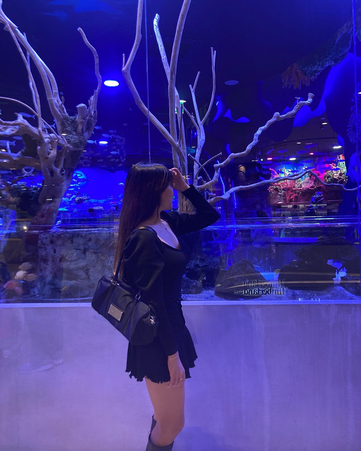 🐠🐟💙