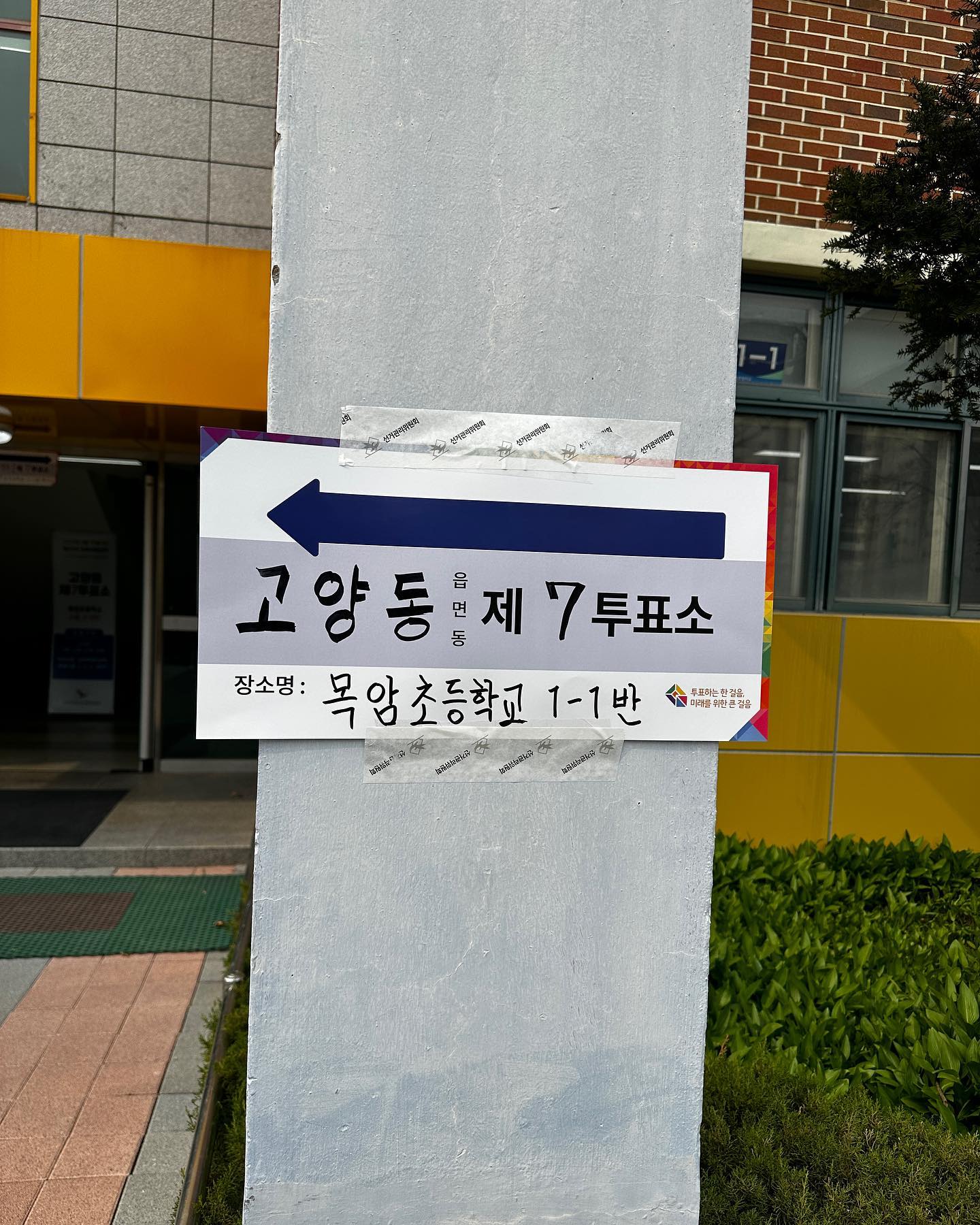 한표 행사했음!
괜히 꽃잎 날리라고 차고옴 ... 허허