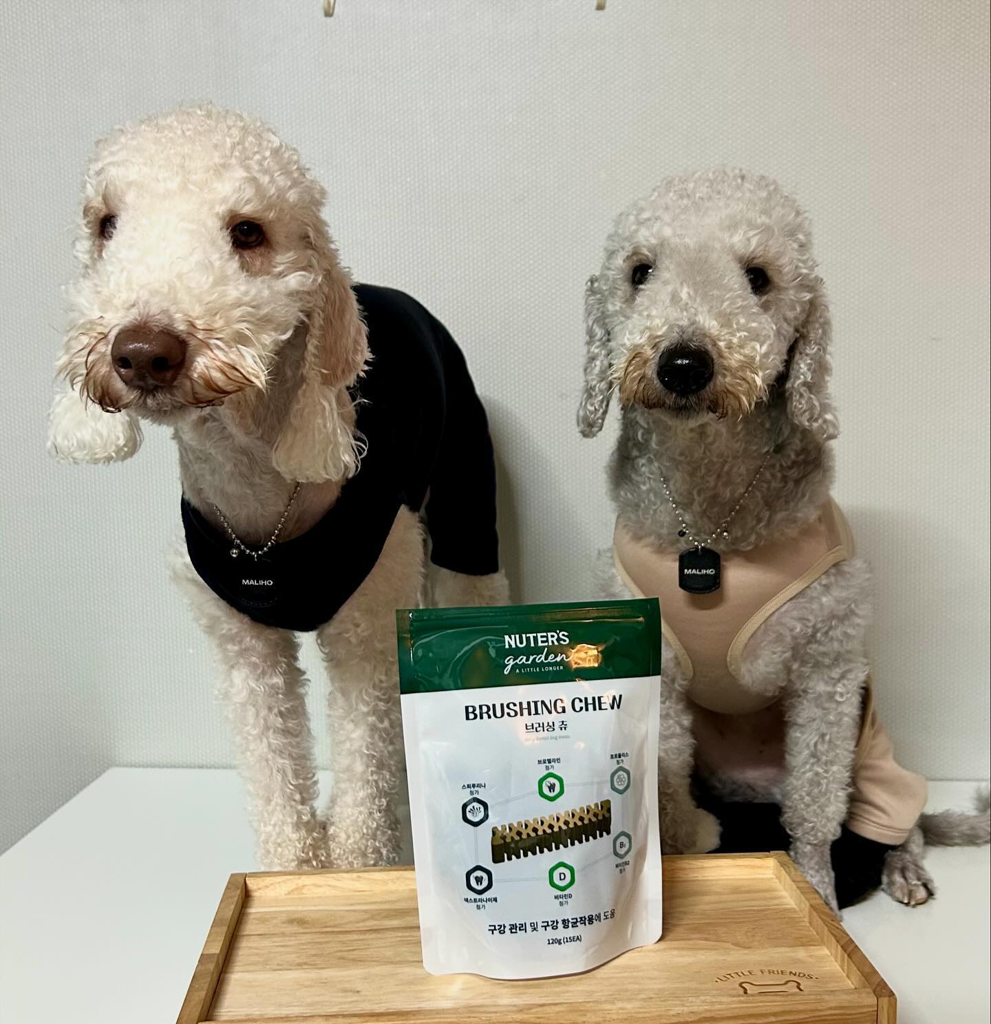 안넝 칭꾸들 🐶🫶
너네 양치 다하고 난뒤에 잘했다구 까까 뭐먹어? 
양치 너무 싫어해서 안하는 칭구들도 있을꺼지만! 
양치 안하는 친구들도 먹으면 좋쿠
양치하고 난뒤에 보상까까로도 너무 좋은 덴탈껌 있는고 
알고 있쎠?? 

💚누터스가든 브러싱츄💚 이거슨 바루 
구강 관리 및 향균작용에도 도움되구 
칫솔질 잘안되는 저 안쪽 구석까지 
닿을수 있게 지그재그 맞춤 모양으로 
꼼꼼하게 자극 줄수 있써!

➡️🐶브러싱츄 안에는 

💚프로폴리스 
💚브로멜라인
💚스피루나
💚덱트스라나이제 
💚비타민D/비타민B2 

가수분해&그레인 프리 까까라
체중관리/식이알러지 있는 강아지들에게도 
급여가 가능해서 올마나 괜찮은껌이라구! 

지금 심지어 이벤트중인데 두개사면 하나 더준데🐶👍
우리 양치하기싫은 댕댕이랑 양치 다하고 난뒤에도
관리할수 있는 까까 먹어보쟈-!🐶💚

✨자세한건 프로필 하단 블로그✨