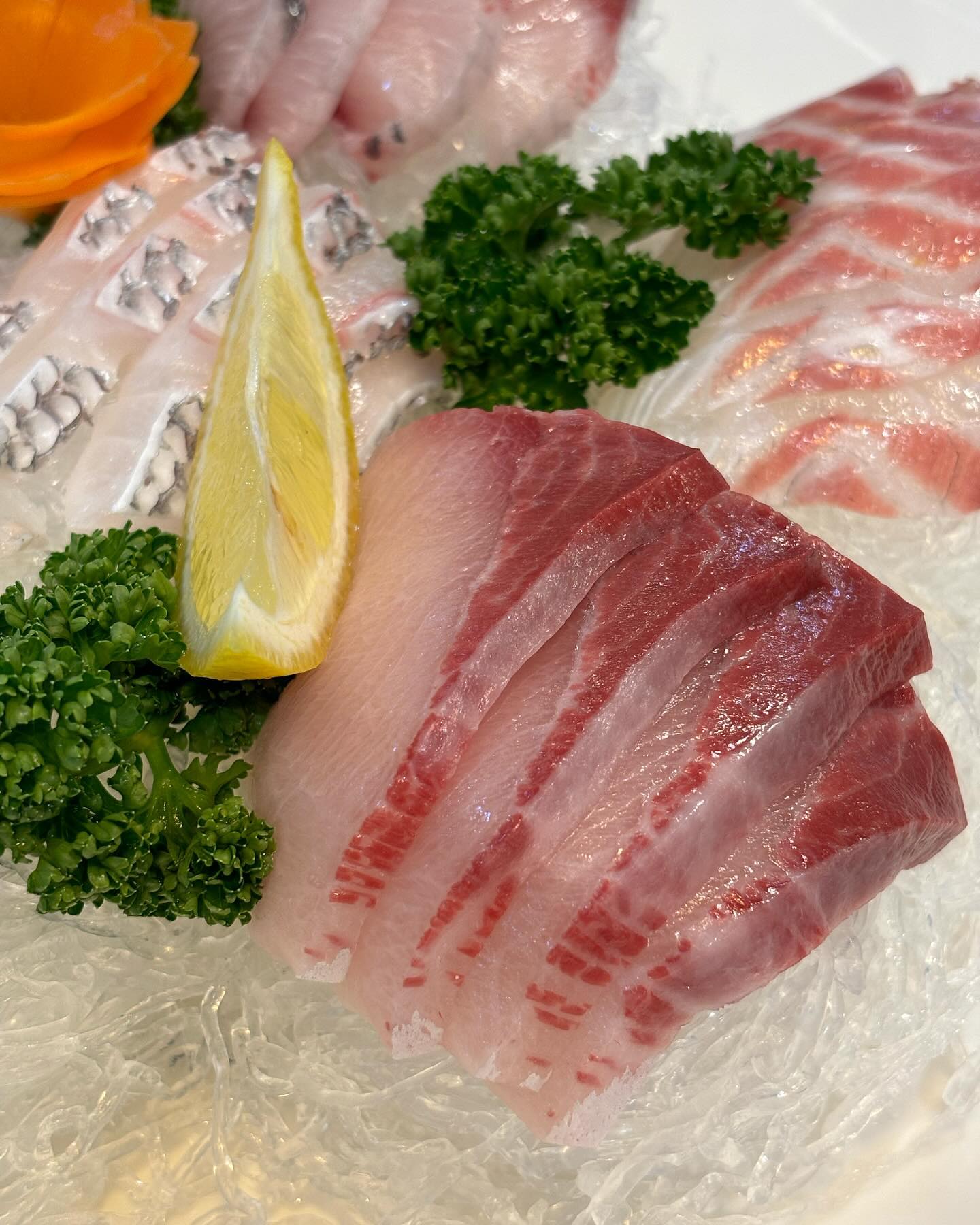 소주3병을 태운 방어맛집...🐟 
진심 넘넘 신선하구 맛도리.. 또 가고싶은 나만의 횟집되어버림 더 추워지면 방어만 뿌시러 출동해야지! 해운대 파파횟집가면 무조건 B코스로 진행시켜🫡🩵