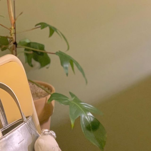 서하우스 ; Seohouse on Instagram: "#광고 체력이 좋은 편이 아니라서 몸이 좀 피곤하다 싶으면 바로 영양제를 찾게 되는 나 🫠🫠🫠 요즘 동생 가게일을 도와주느라 없는 체력을 쓰다보니 영양