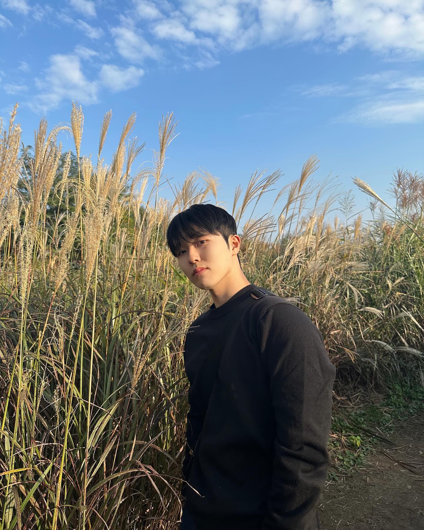 멋쟁이🌾