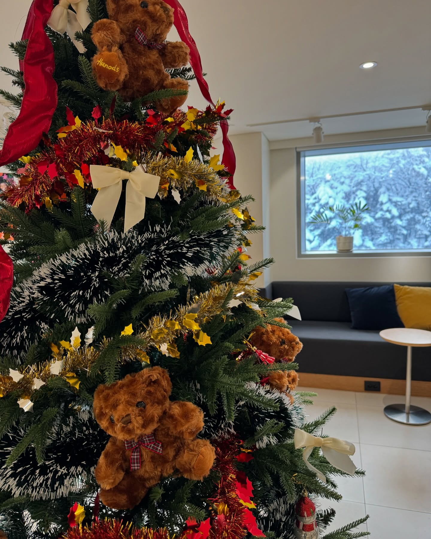 올 해 첫눈 ❄️
우리매장은 유독 겨울이 참 예뻐 🎄