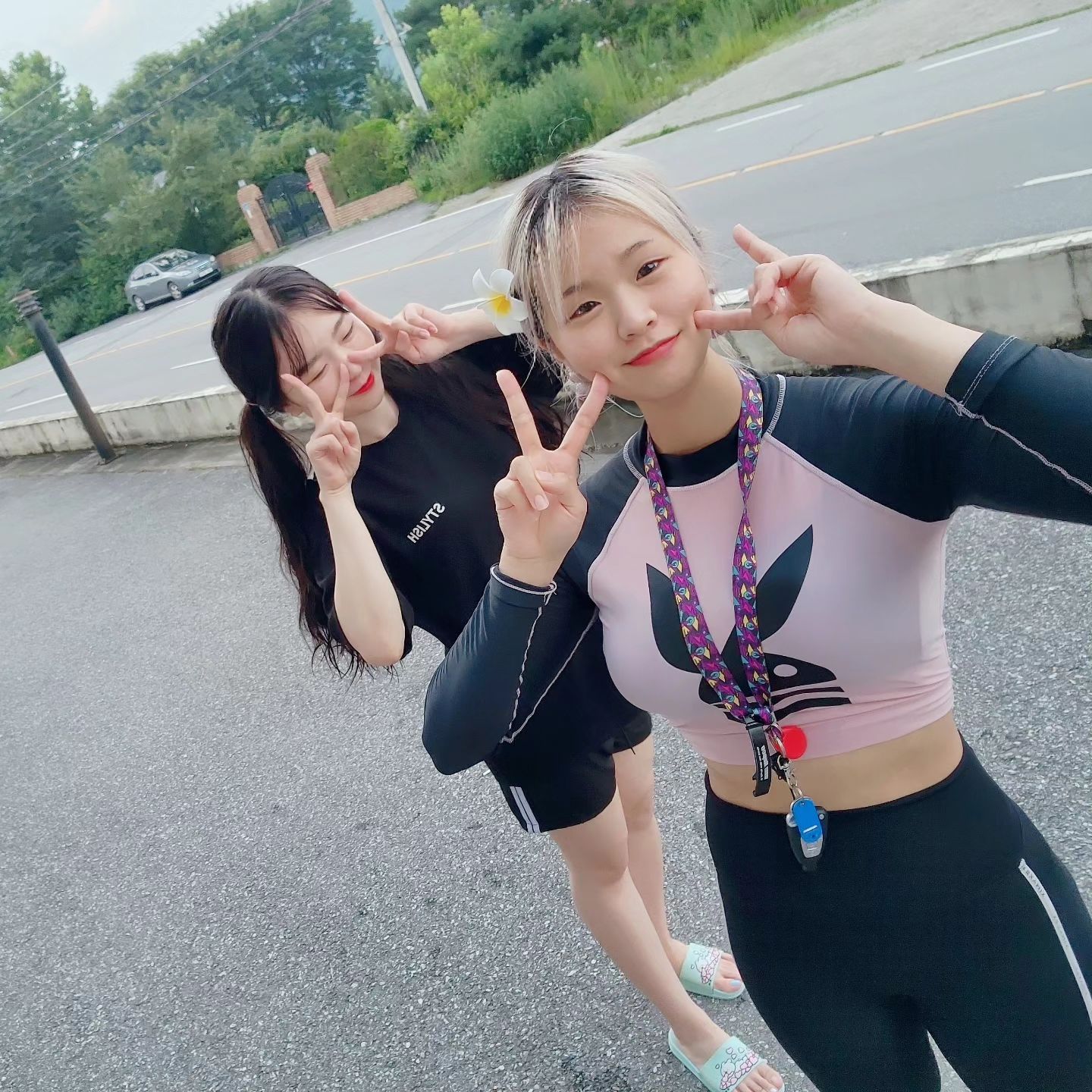 ✌🏻◕ᴥ◕✌🏻