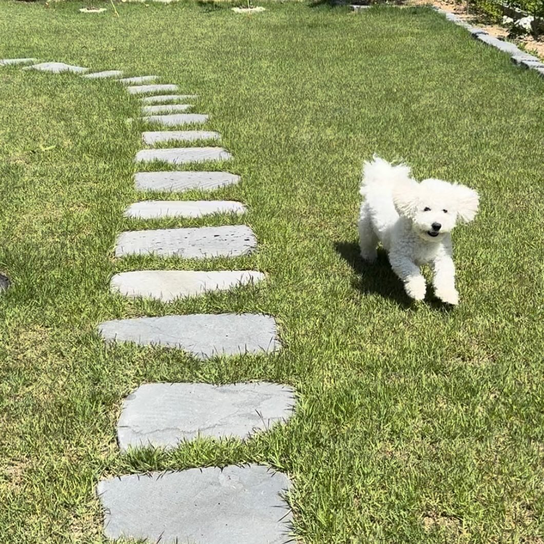 인형이냐고😭❤️