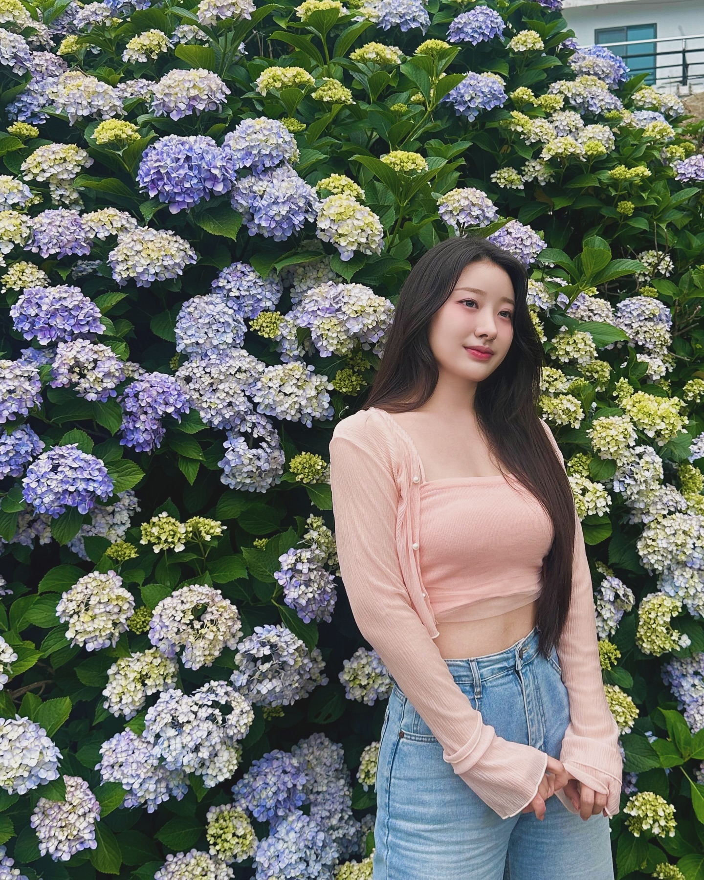 하핳하핳핳핳