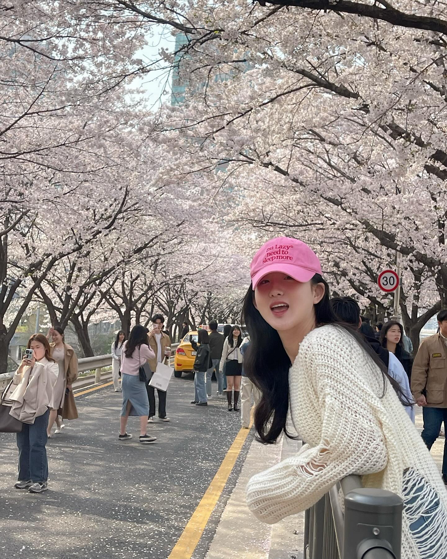 🌸 lazyz.official