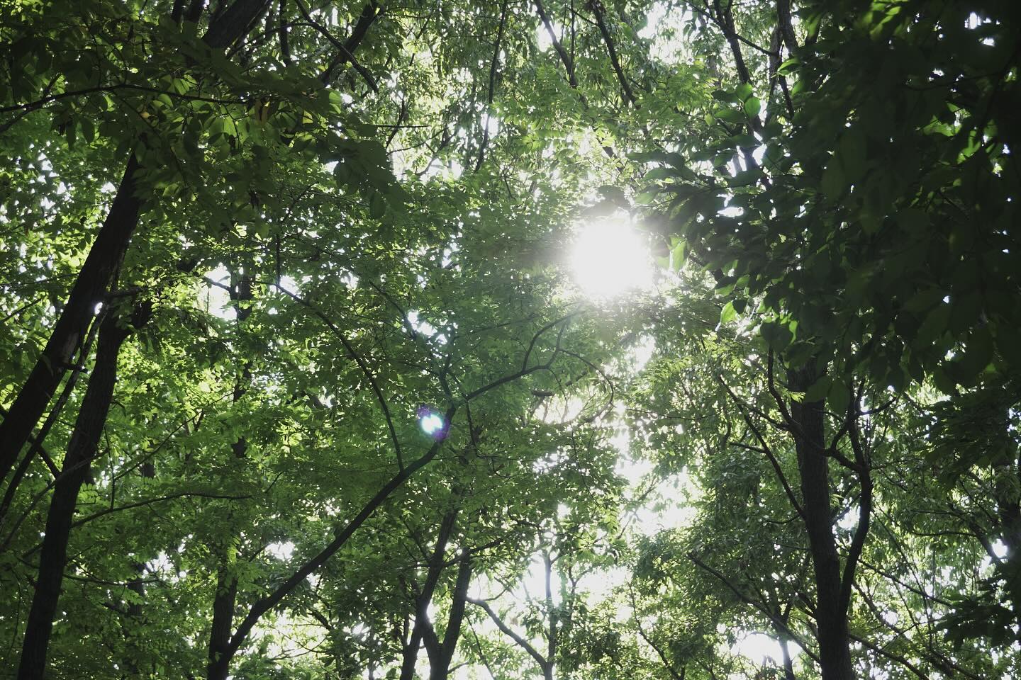 콘텐츠