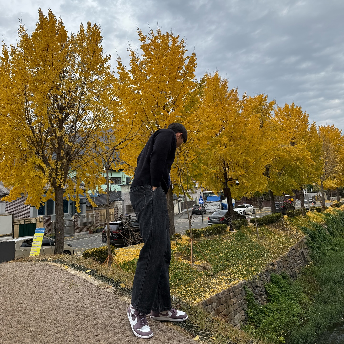 다들 감기 조심하세요
#가을 #은행나무 #창녕 #만년교 #구미pt