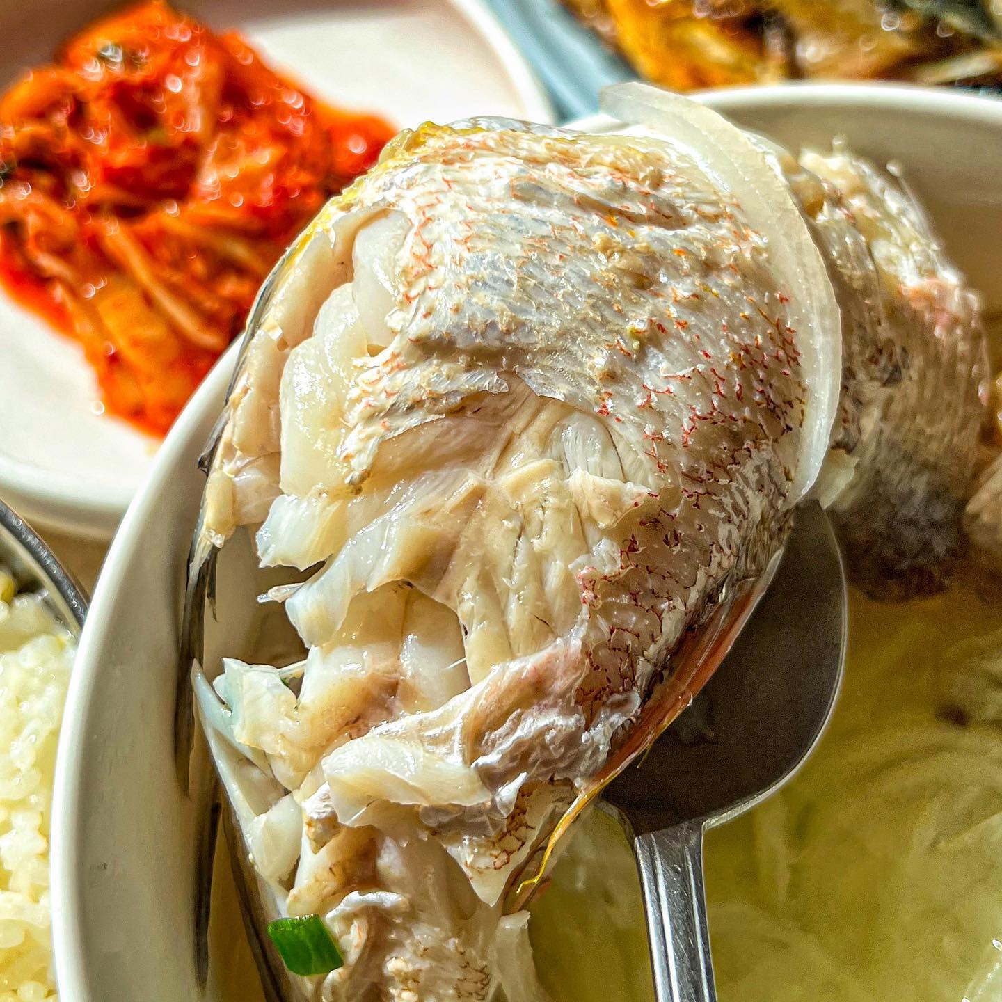 뻔한 제주음식이 지겹다면 당장가세요
 
실패없는 현지인 찐찐맛집을 찾는다면
여기 #옥돔무국 한번만 꼭 드셔보세요 ,,
 
입맛 엄격한 제주시청분들께 오랫동안 사랑받는 집ㅠ
오직 제주라서 가능한 향토음식 여기서 입문하세요🙏🏻
 
옥돔 한 마리가 통째로 들어간 뭇국인데 이게 진짜 미쳤습니닼ㅋㅋㅋ
당연 비릴거라 생각했지만 비림1도없고 눈이 번쩍 떠지는맛,,
한가득 들어간 무 덕분에 국물 ㄹㅇ시원한게 대박이거든요 
 
해장에도 왕 추천; 나도 모르게 아저씨 소리 구수하게 나옴ㅎ
제주공항이랑도 가까워서 아침으로 먹고 가기 딱이에요ᅲᅲᅲ
 
+ 기본으로 갓 구운 고등어구이를 주시는데 이게 또 별미ㅎㅎㅎ
 
🏷제주 한라식당
🏷제주 제주시 이도이동 1176-116
🏷영업시간 09:00 ~ 15:00
🏷옥돔무국 15,000
 
#제주공항맛집 #제주공항밥집 #제주공항근처아침 #제주공항근처아침식사 #제주시아침식사 #제주시청맛집 #제주향토음식 #제주향토음식점 #옥돔무국맛집 #솜솜_제주 #솜픽