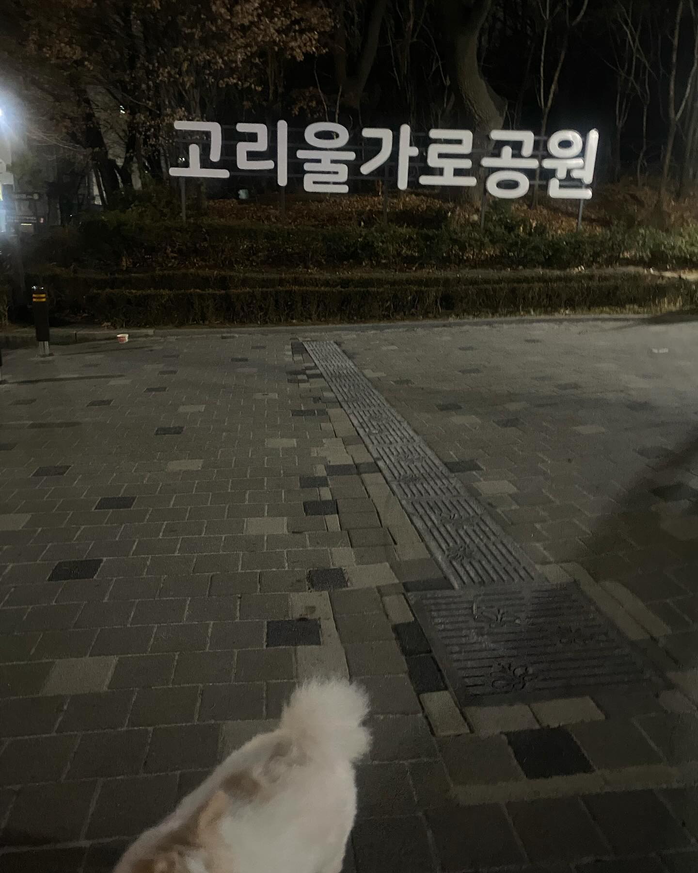🐶
#일요일
알콩이 출근시키고 엄빠뽀랑 산책‼️‼️
나랑 산책하면 뺑뺑이 돌려서 힘들어하지만 운동되쟈나😆
원종동-고강동-서서울공원-신월동-고강동-원종동(13,540보)
ㅋㅋㅋㅋㅋㅋㅋ아 다리아펑ㅎㅠㅎ기여운뽀리랑 주말 산책하기
약속 지켜땅>_< 뽀리야사랑해♥️💜🩷💛😻💜♥️🩷