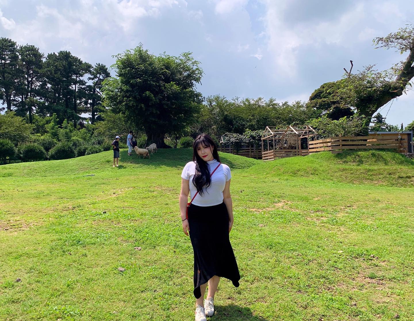 🌴🍃🌼💛