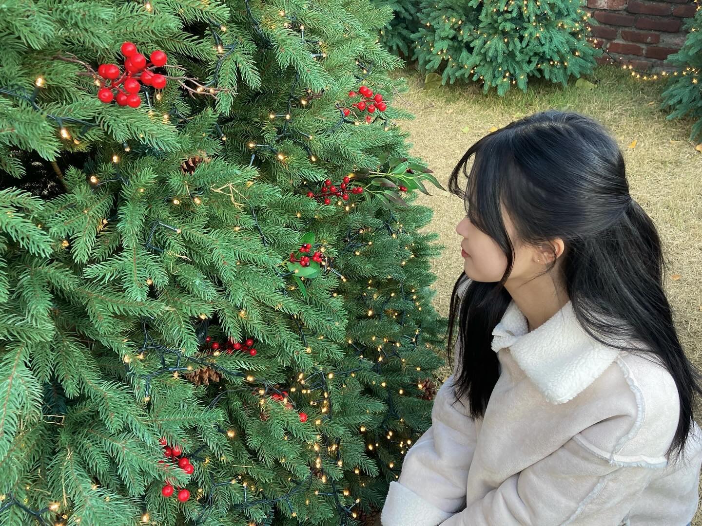 콘텐츠