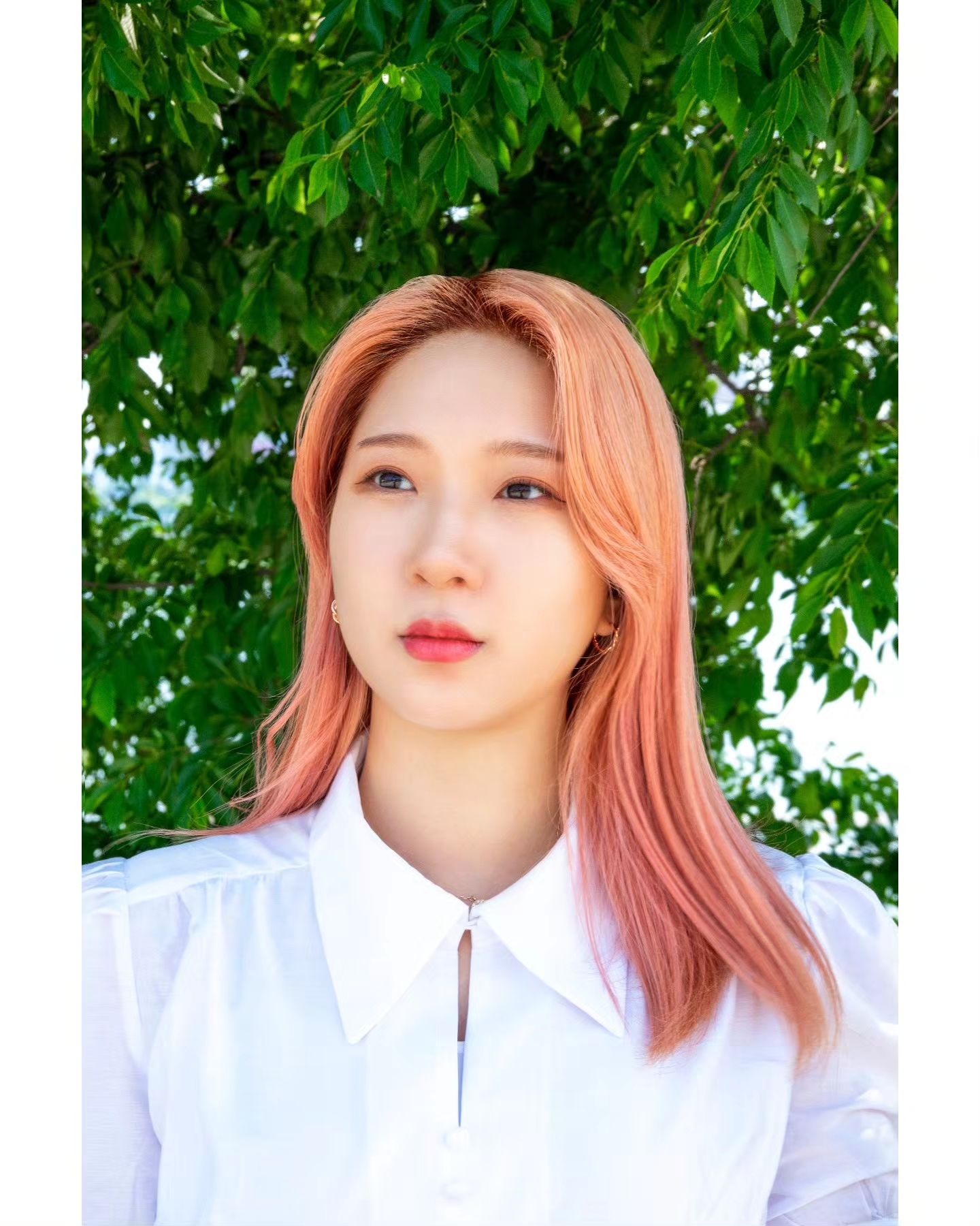 여름의 색감이 조앙
