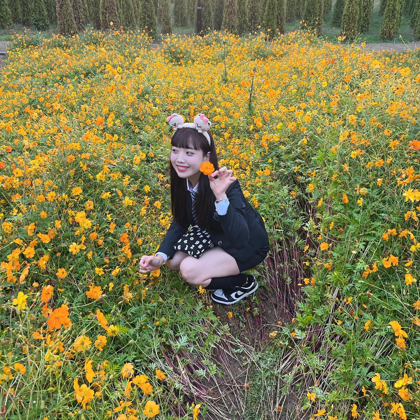 꽃만 보면 환장하는 나에요,,🌸🌷🌼🌺🌹☁️💝