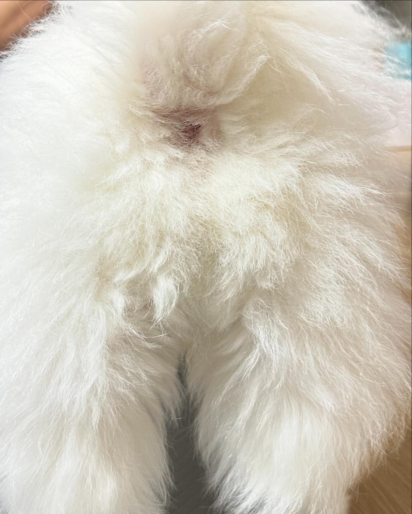 보고싶다