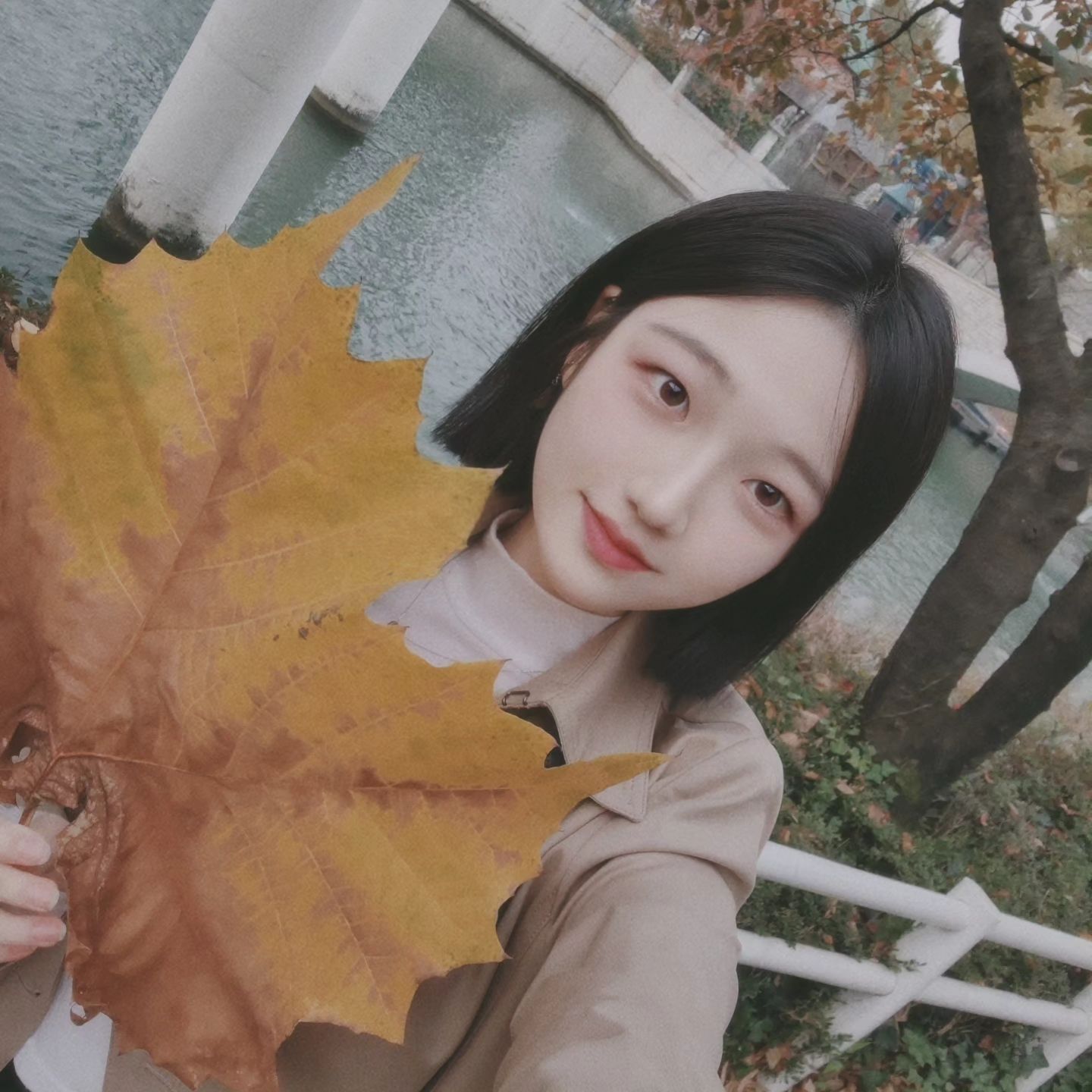 🍁

#가을 #낙엽 #짱큼 #단발 #좋반