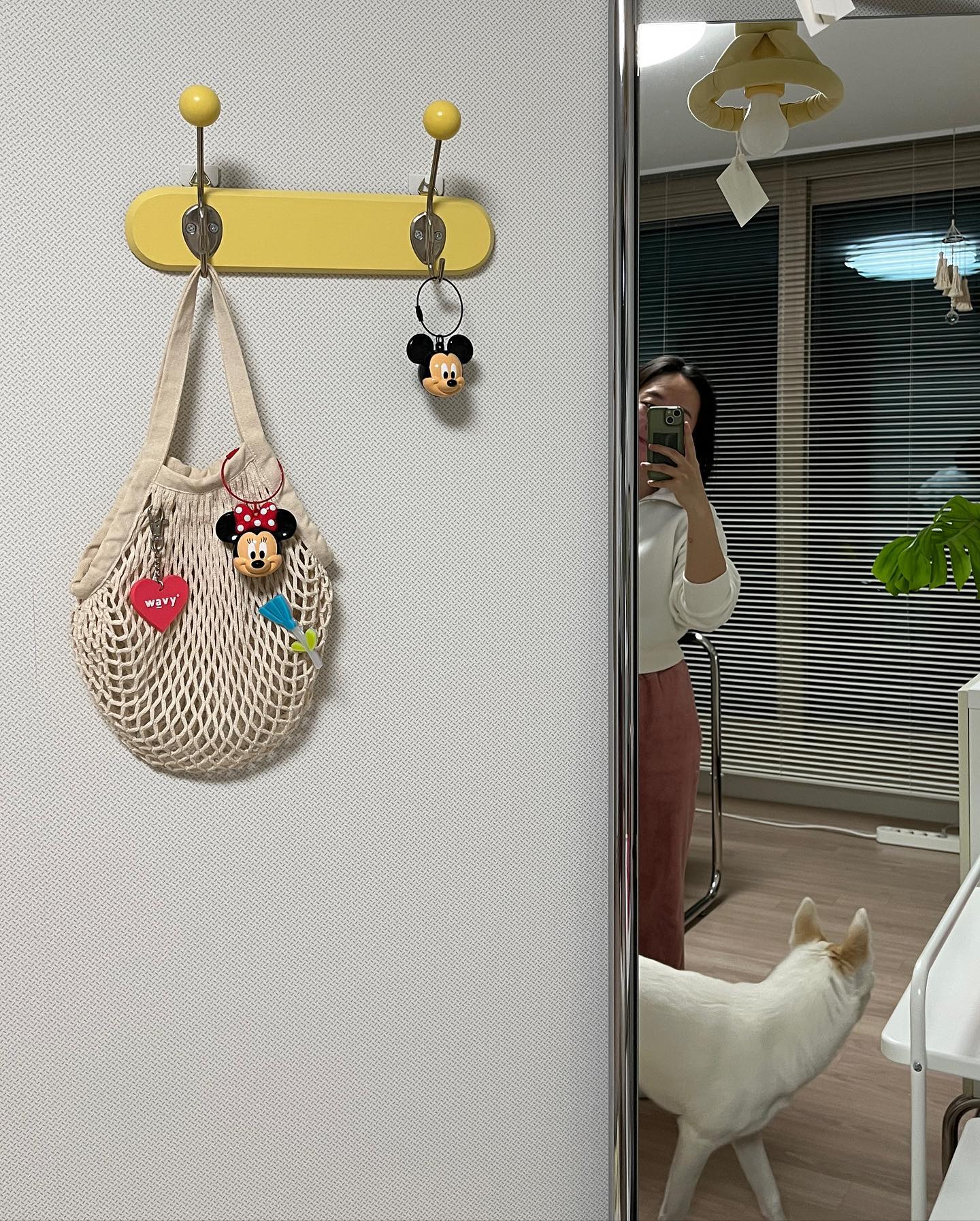 X 👜

행거 트롤리를 이동시키면서
우드볼 벽걸이 행거도 서재방으로 옮겼어요🟡

위치가 잘 어울리는지 사진찍고 있는데, 우리 봉자씨 등장!
기념으로 피드에 남겨봅니다 ㅋㅋ🐶🐕