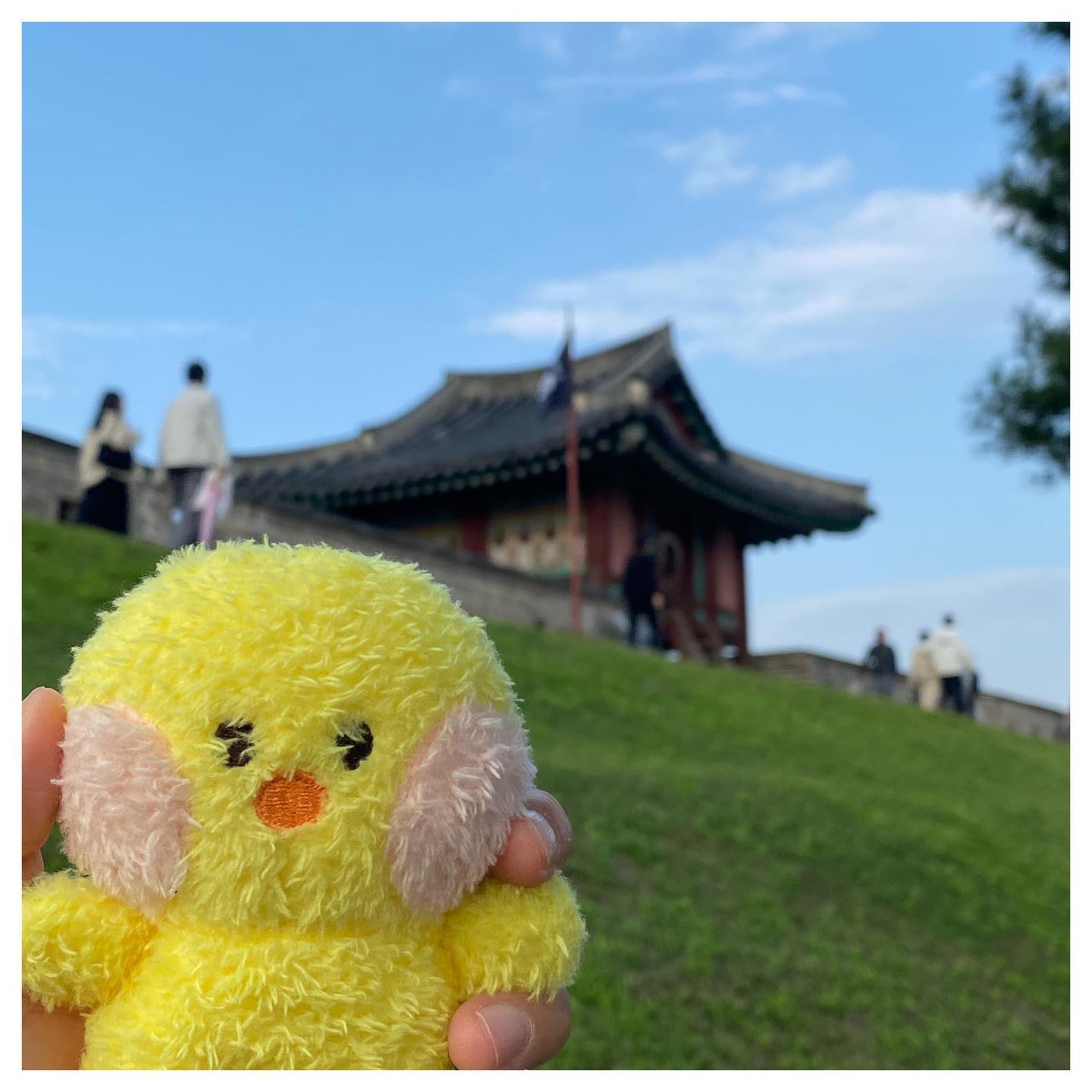 인스타도 부지런해야 할 수 있다...
그동안 밀린 샐리니와의 일상 슬쩍,,,
.
.
#라인프렌즈#미니니#샐리니#미니니랑나랑