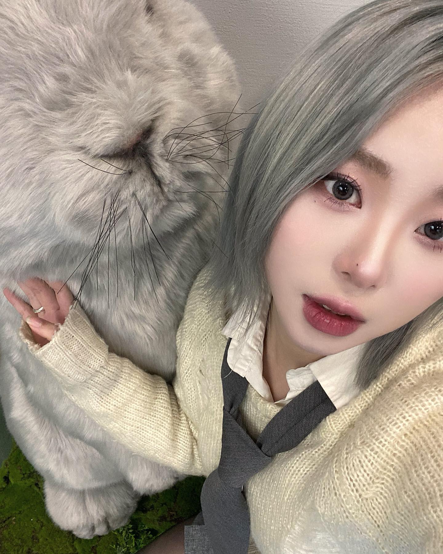 #광고
요즘 제일 손이 많이가는 렌즈미의 파일럿 소프트 그레이..🤍😜 쿨톤이신 분들 극 극 극 추천해드립니다 🤍✨

정식 출시는 아직이라는 점 ><

렌즈미 픽업으로 만나볼 수 있는 파일럿 시리즈 오픈 💕

얇은 써클링과 소프트한 컬러감으로 여리여리한 눈빛 만들어줌.. 

✨한달용 / 주문제작 상품 / 1팩 15,000원 ✨

#렌즈미 #소프트벨그레이 #파일럿렌즈 #렌즈추천