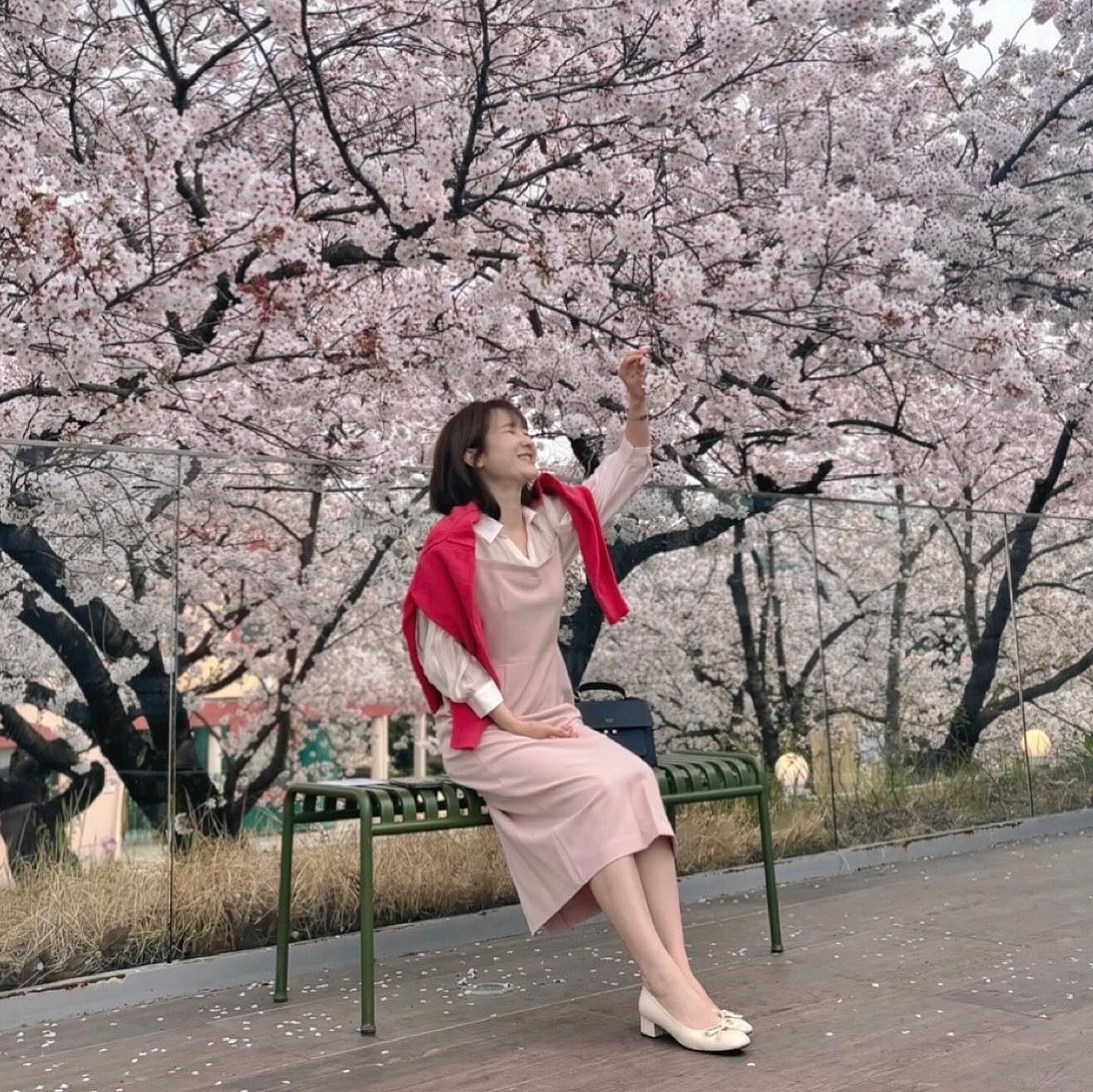 벚꽃나무 아래에서 커피 먹으며 여유를

즐길 수 있다길래 방문한 inalit.cafe 
현실은 사진만 찍고 아늑한 실내행

#울산카페투어 #이너리트 #언양카페 #울산데이트 #울산벚꽃