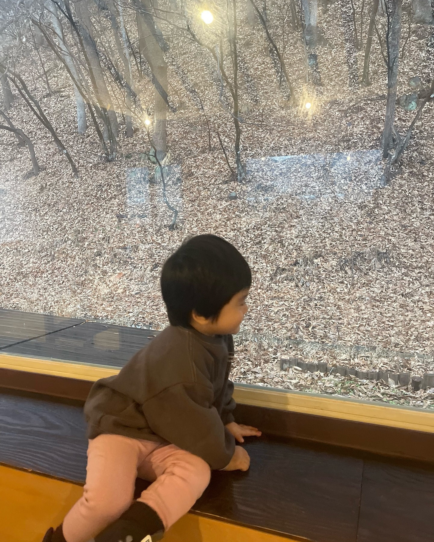 🐯_D+645

그만..좀…올라가…✋

아들랑구라고 티내지마…:)ㅎㅎ