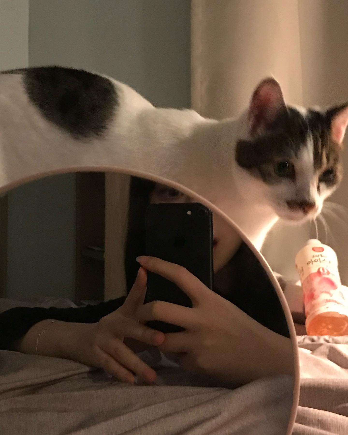 땅콩이 볼 냠냠
#고양이