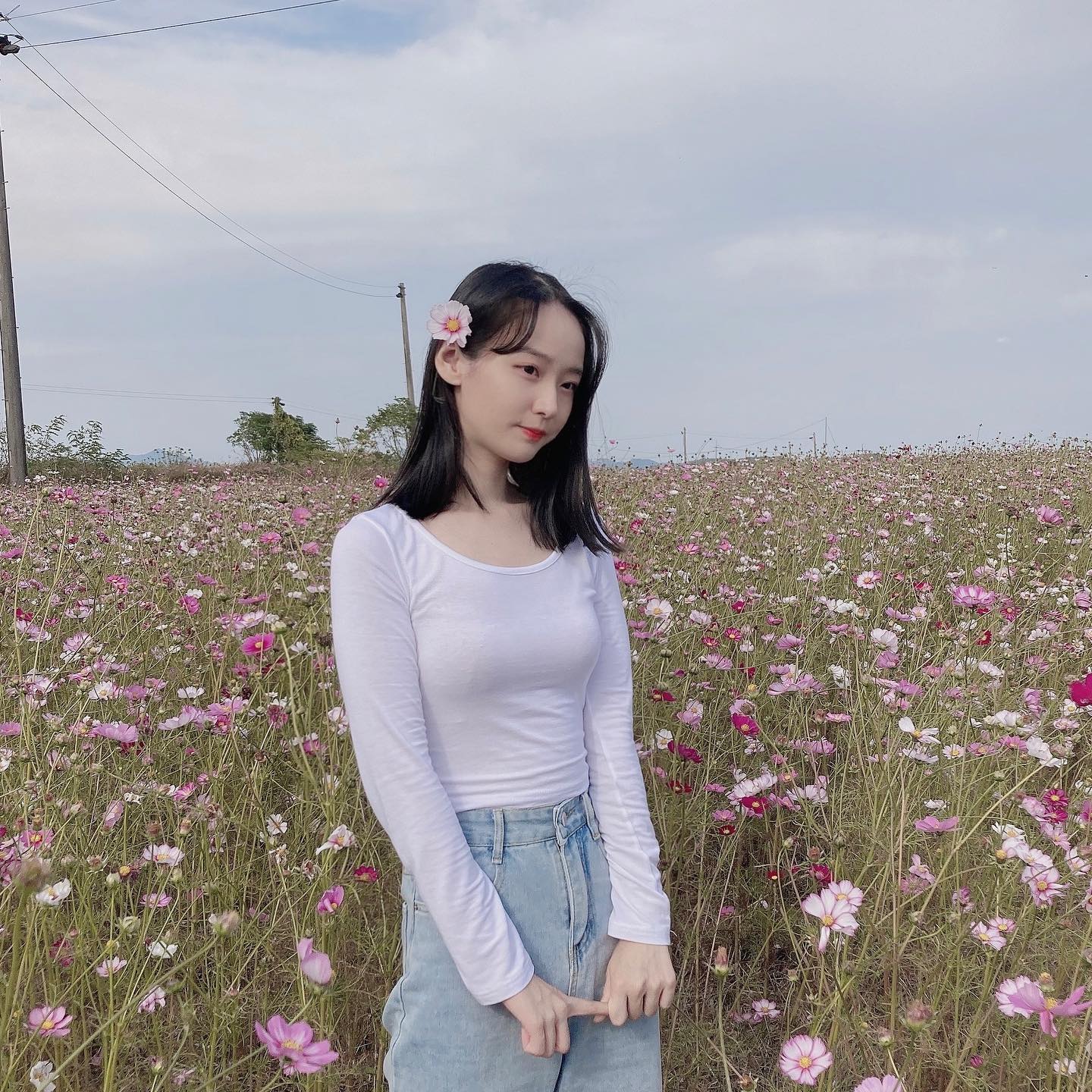 코스모스 🌸🌼🌸
사실 한달넘게 갤러리에 있던,,
