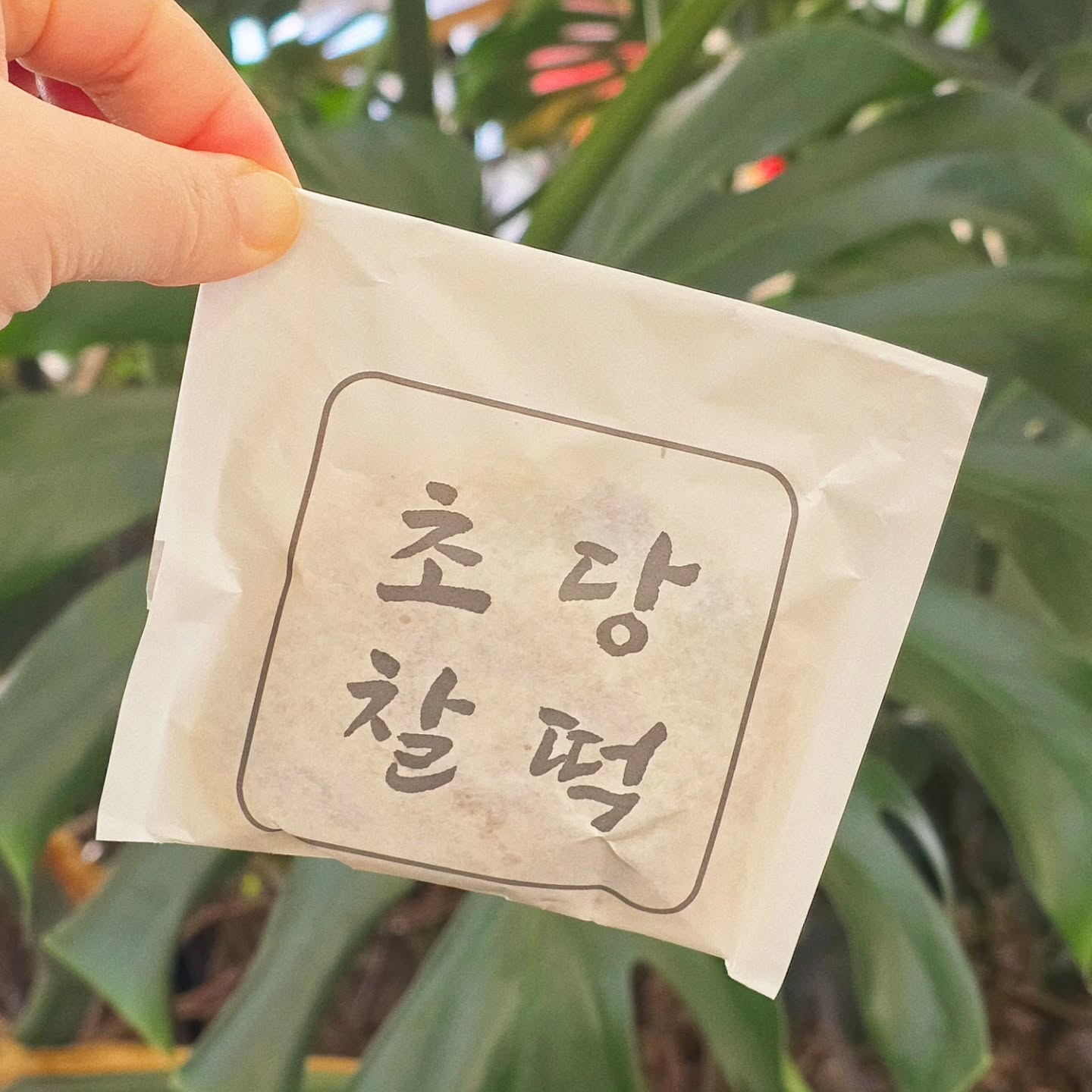 #협찬

ꗯ 강릉초당찰떡

ㆍ강원 강릉시 초당순두부길77번길 20 초당찰떡
ㆍ09:00-18:00
ㆍ0507-1361-1205

강릉초당찰떡 이렇게 맛있을꺼냐구
특히 구움찰떡이 정~말 쏘 굿
너무맛있었어요 ◡̈ 

날도추운데 밖에둬도 딱딱해지지도않더라구요
쫄깃쫄깃 그자체
안에 팥앙금도 많이달지않아 좋았어요 .ᐟ

남편은 초당찰떡에 인절미가 너무맛있다며
앉은자리에서 다 뜯어먹더라는 ᦂ

강릉여행오면서 선물로 구입해가기딱좋아요 .ᐟ

한번먹고나면 잊을수없는 맛 
스마트스토어로 배송구입할수있어요 ◡̈ 
저는 가까워서 강릉갔다가
한번 더 사오려구용 ᦂ

Thank you chodang_chaltteok 

#강릉여행선물 #강릉선물 #초당찰떡
#강릉초당찰떡 #구움찰떡 #강릉맛집
#강릉찰떡 #강릉갈만한곳