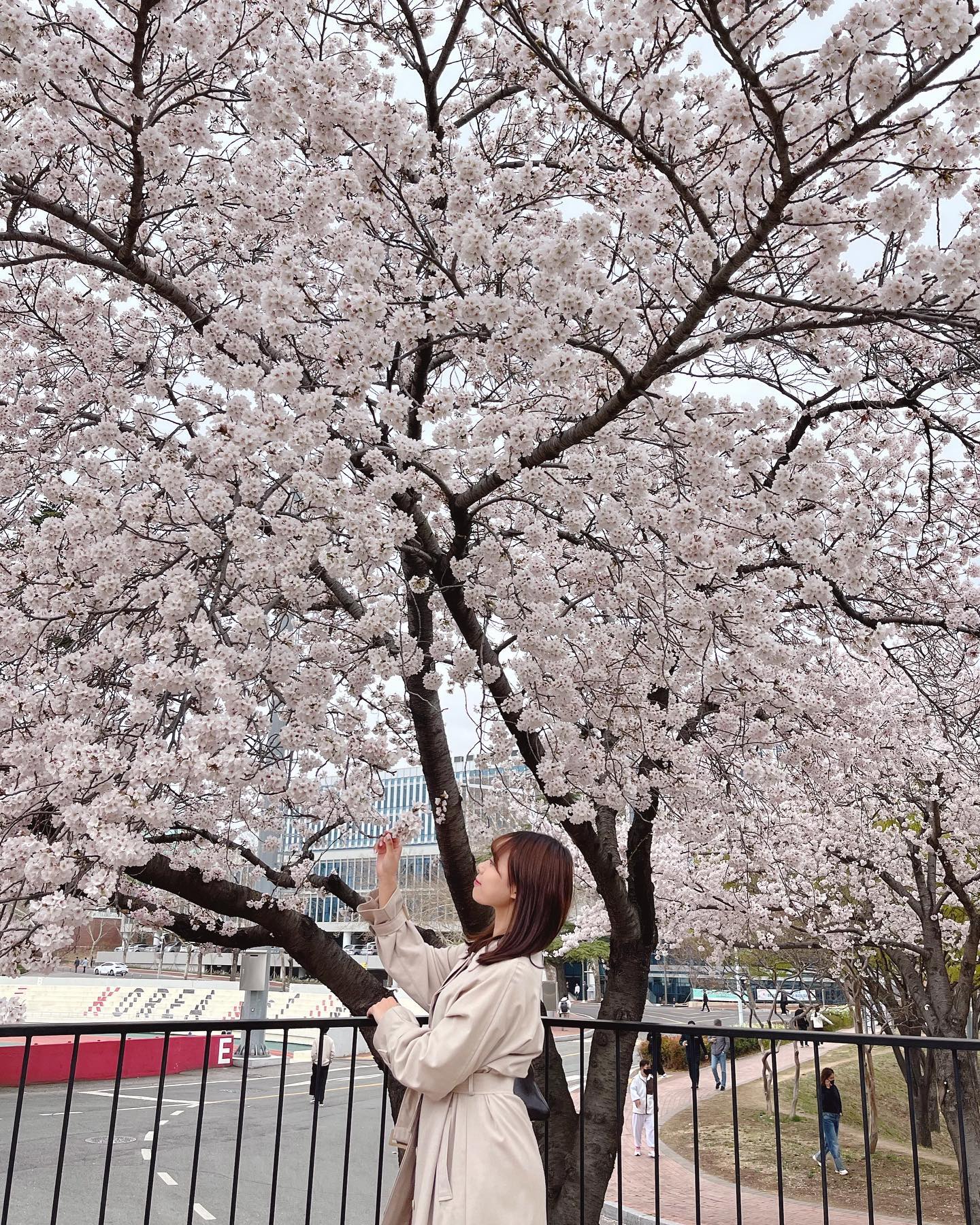 꽃 구경🌸
