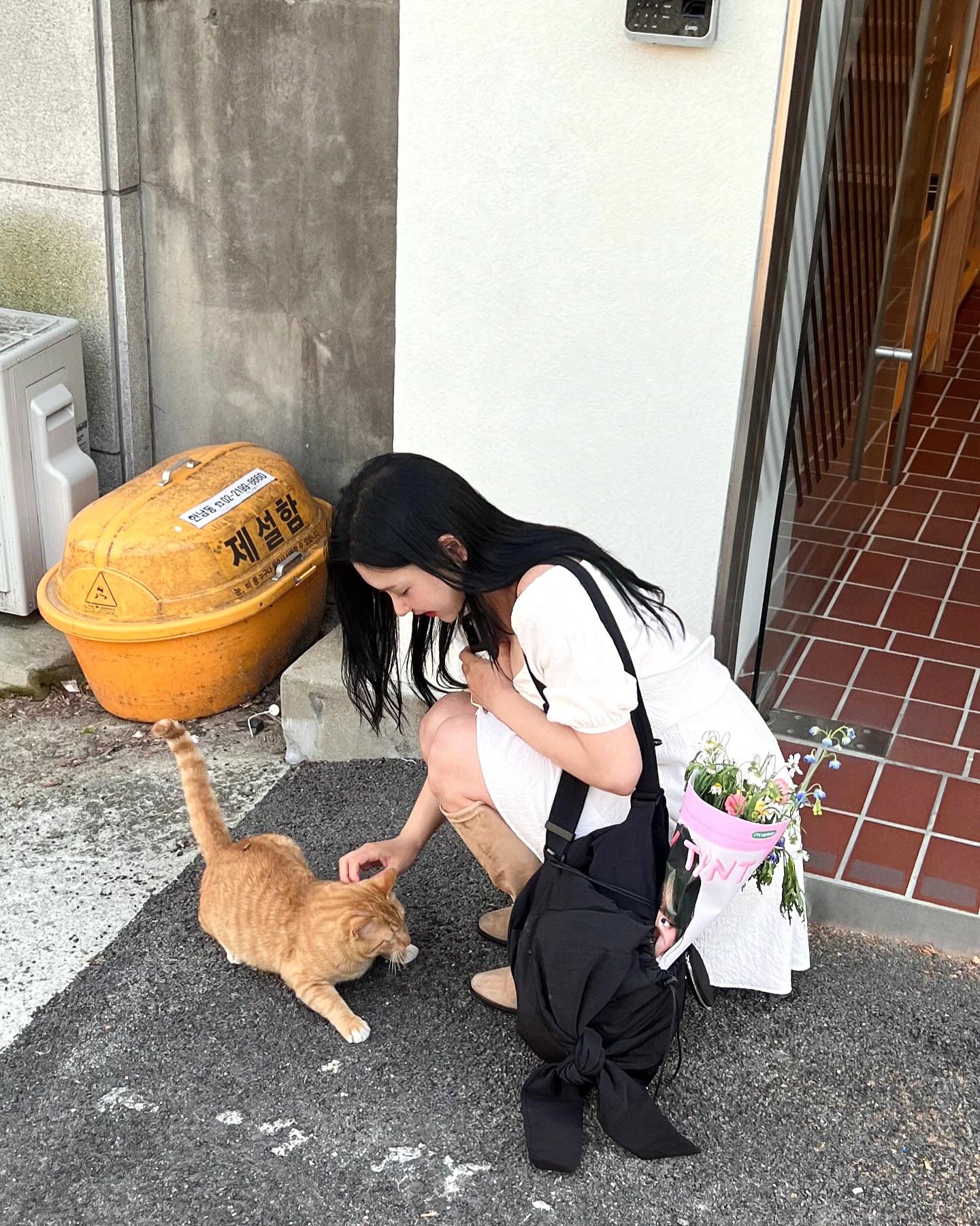 좋🤍ㅏ하는 5월의 날씨 그리고 간택해 준 귀여운 🐱