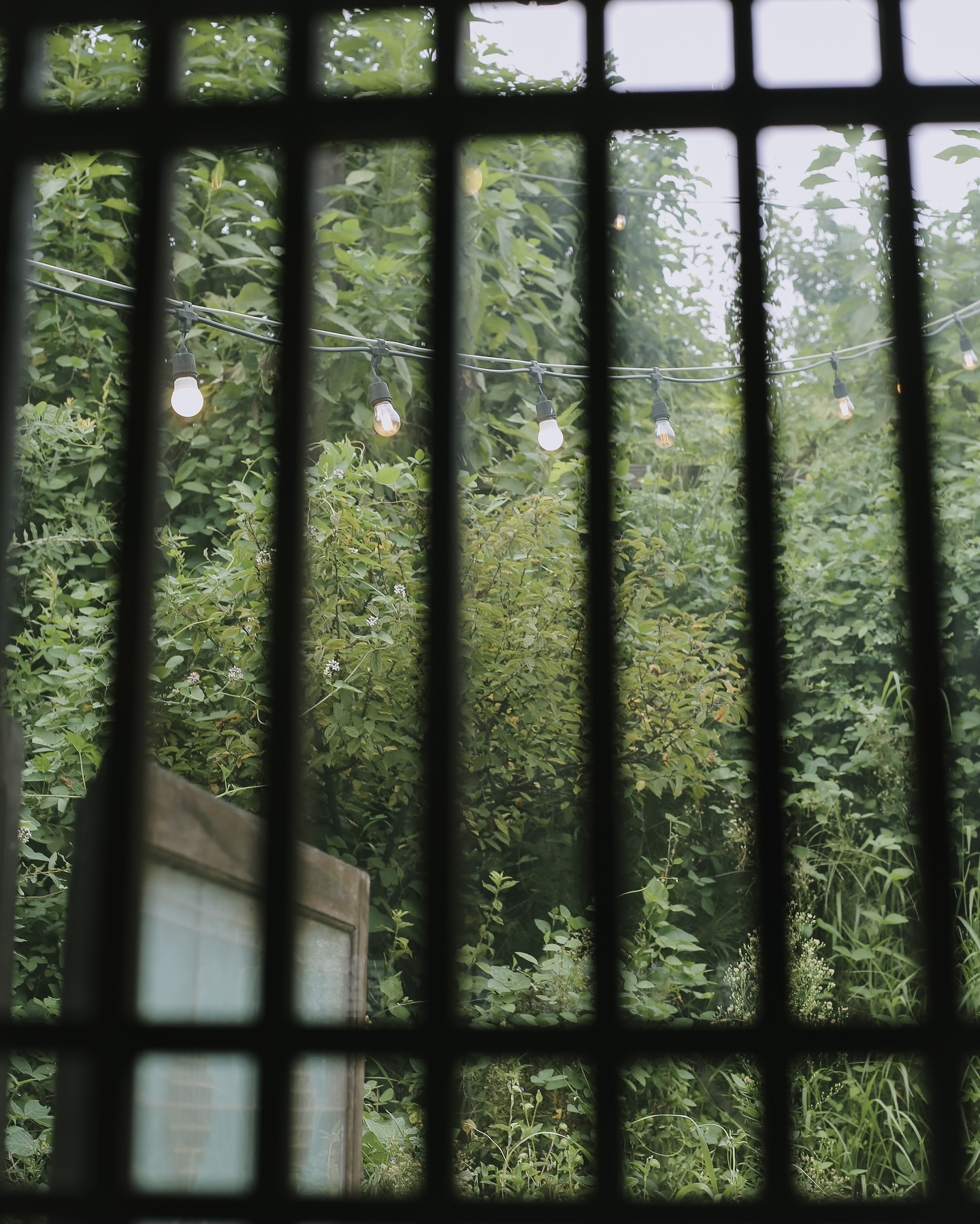 .

오랜만에 카메라 사진
카메라 사진이 좋은 이유는 
그 뭐랄까,, 뭐랄까 🤔

사진 찍으러 떠나고 싶다
.
.
.
.
.
.
#캐논 #초록초록 #제천한옥카페 
#카페1929 #사진계정
