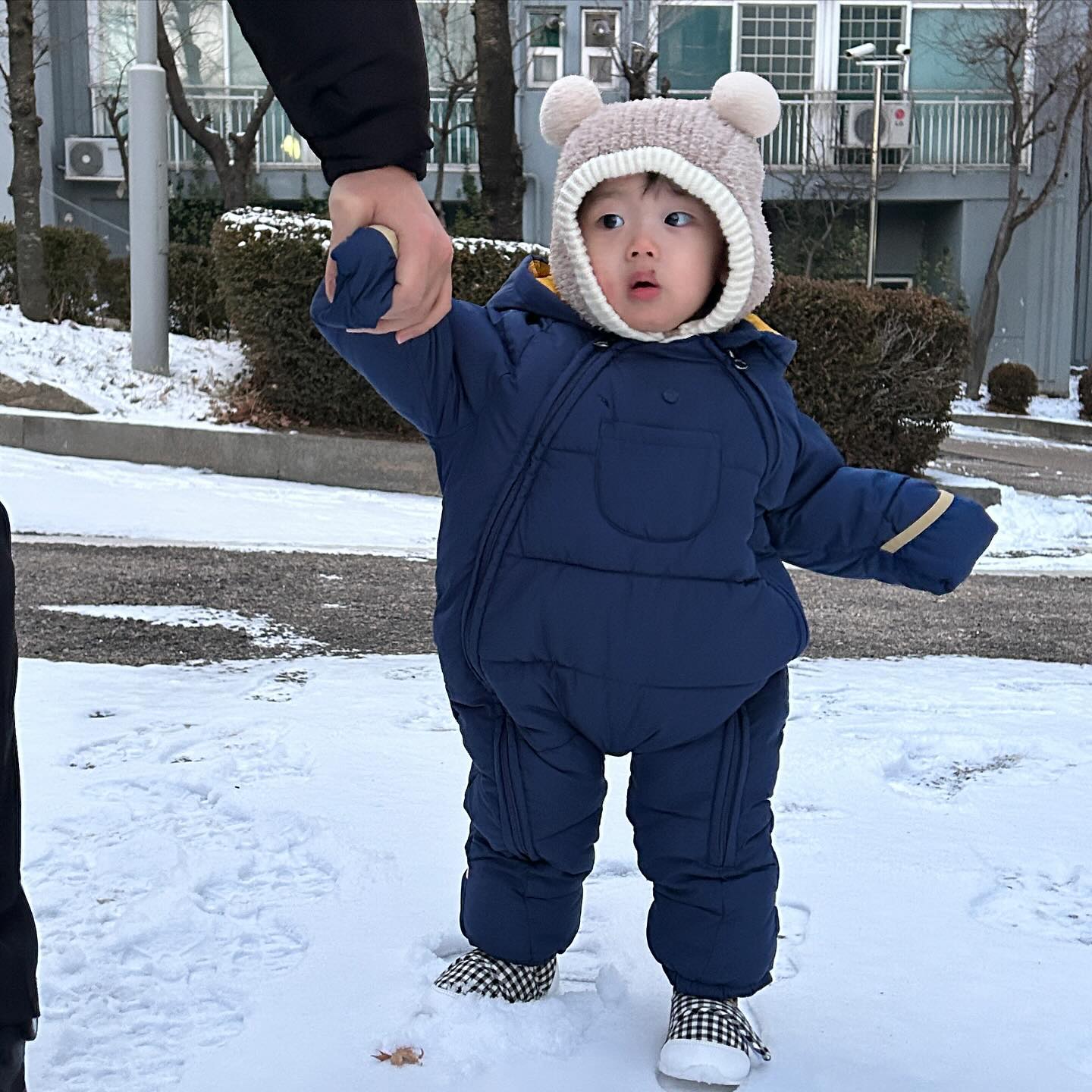 첫 눈❄️❄️❄️

날이 추워그런가 그대로 얼어버렸다🥶