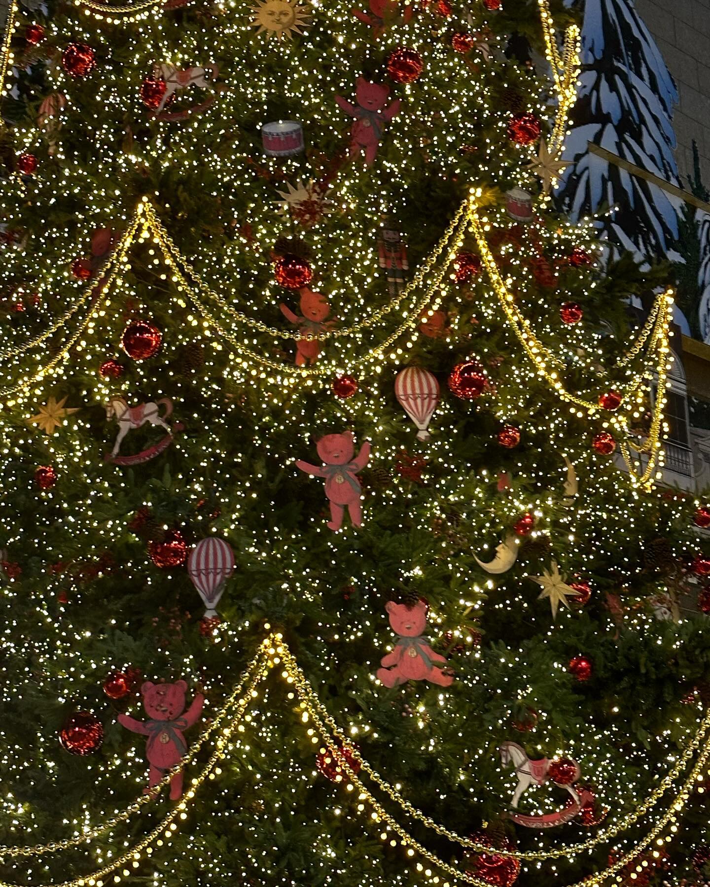 크리스마스,,시작,,!! 🎄🎅🏻🧸♥️