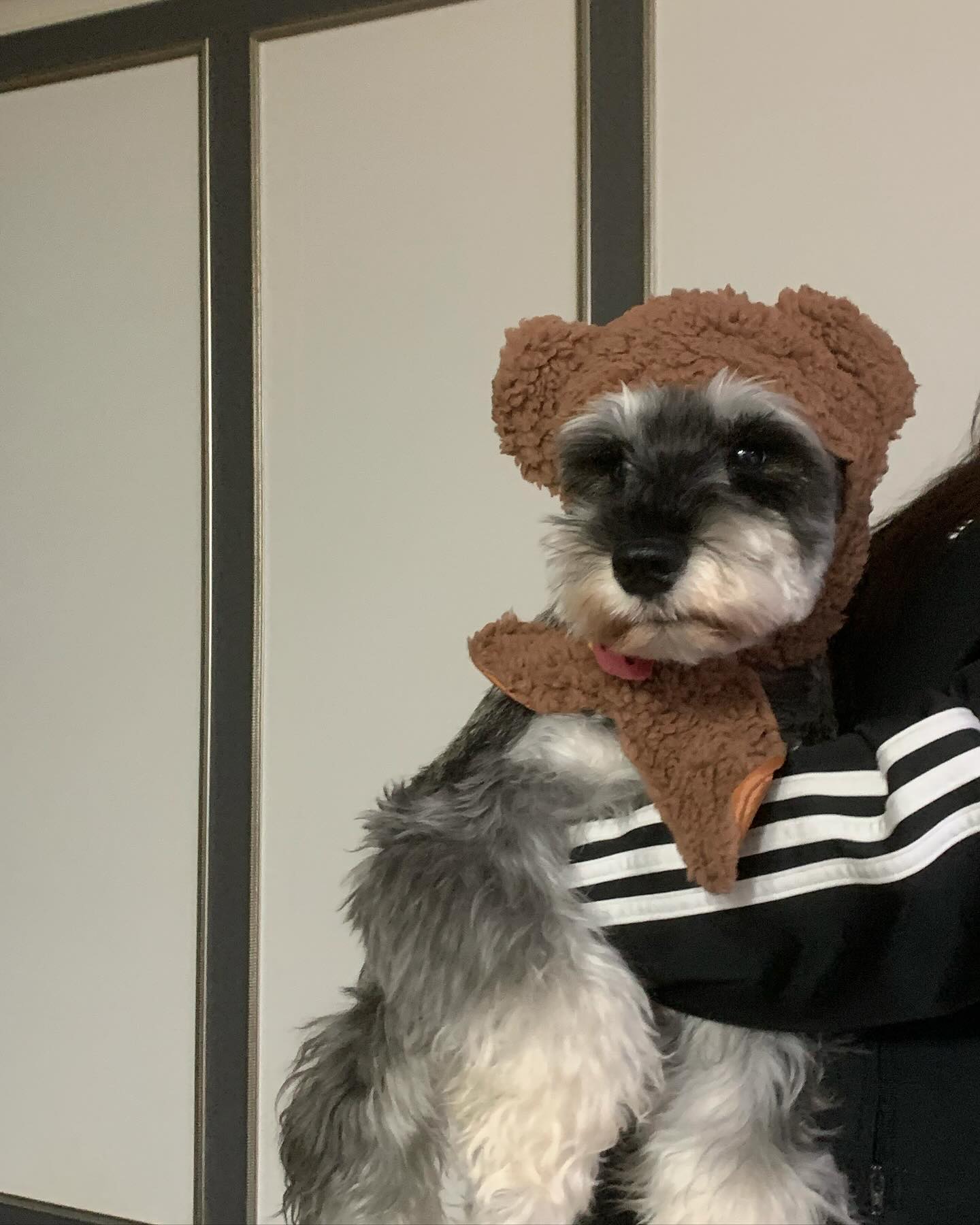 머리통이 시랴워서 장만한 모자
