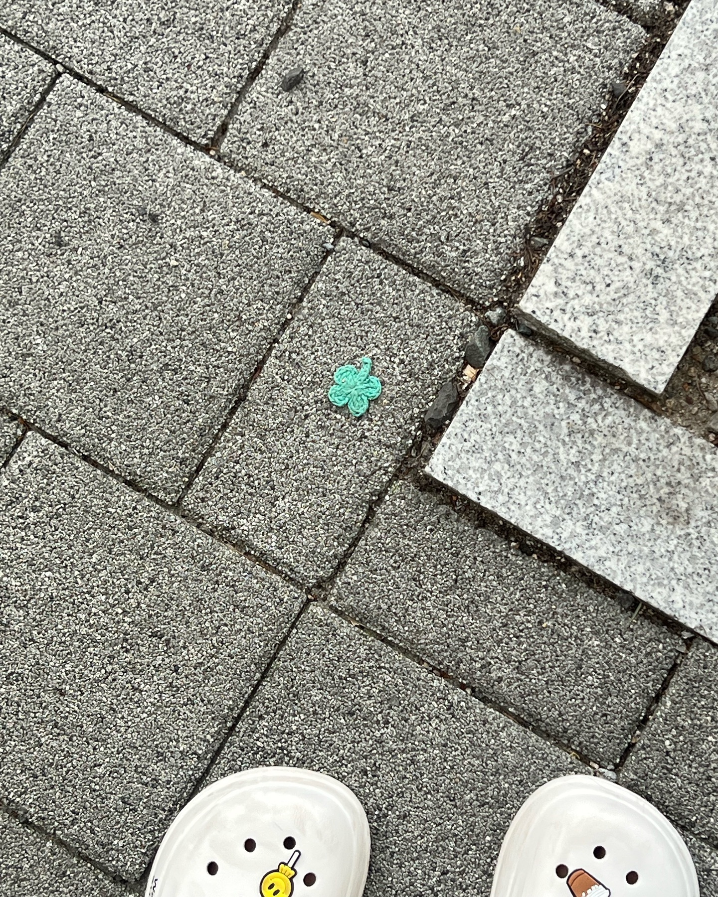 🍀🪽