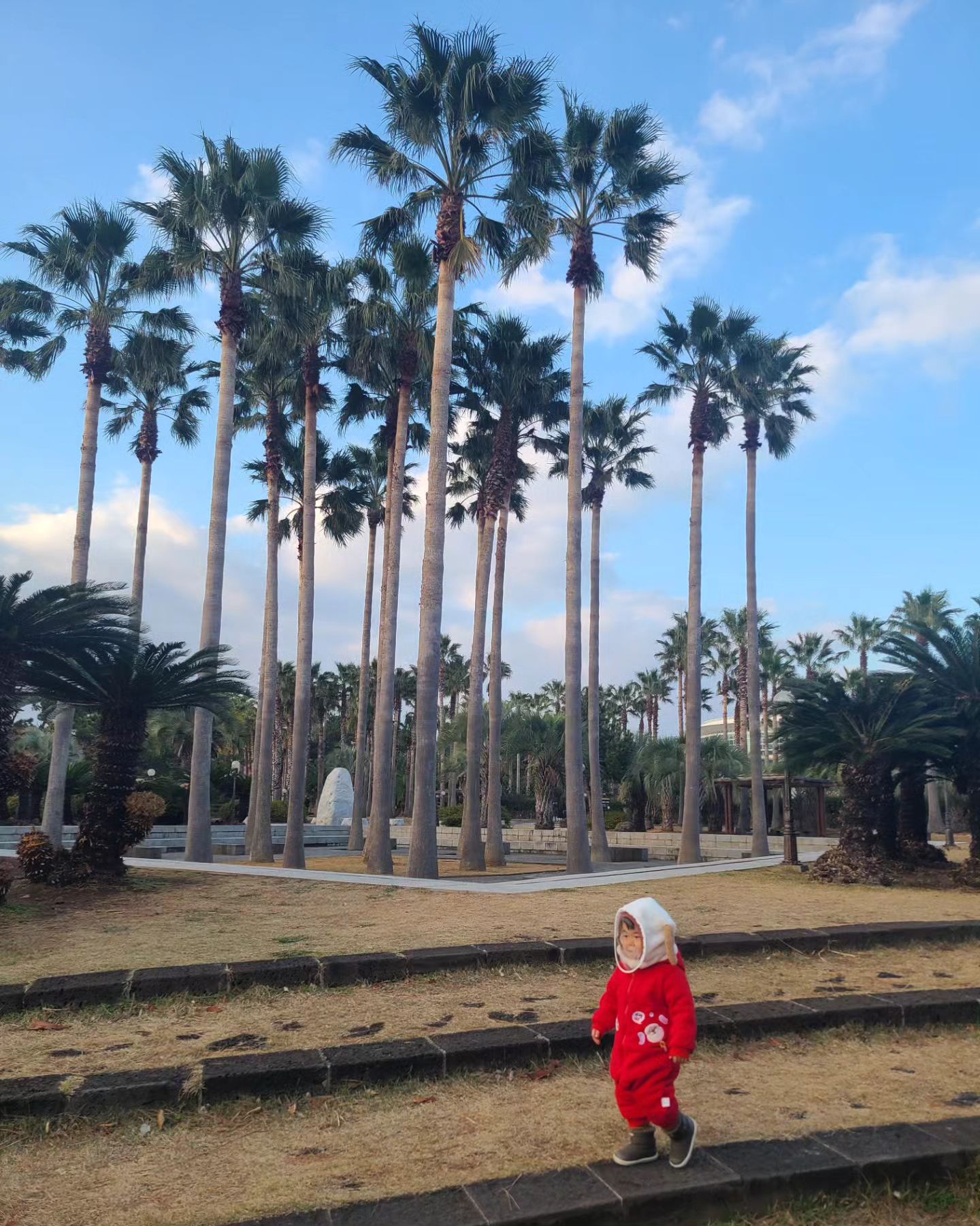 제주에서 인성이 & 엄마랑 함께 보낸 크리스마스🎄 비행기 2번이나 결항되고 비행기 티켓 잘못 예약하고 우여곡절 끝에 도착한 제주도는 너무너무 아름답다 💕 지금 이 꽉 찬 따뜻한 겨울을 잊지 말자 인성아 

#크리스마스in제주 #크리스마스 #제주 #제주도 #제주여행