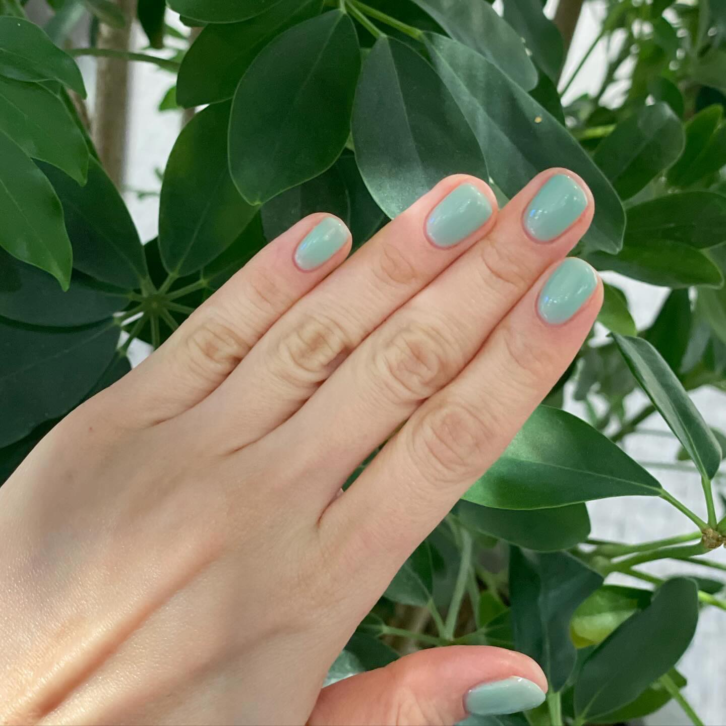 Ｃｏｌｏｒ Ｍａｋｅｓ Ｍｏｏｄ
시럽젤 원컬러 풀콧으로 깔끔하게 기분전환 
#네일앤 💅
일단 가게 앞에 주차가 가능해서
아주 편하게 찾아갔던 #대연동네일샵

최근에 알게된 퍼스널컬러가 쿨톤이라
어울리는 색감으로 하고 싶어 고른 색상
볼때마다 눈이 편안 💚

우드 인테리어의 샵 분위기도 편안했구
사장님 손이 빠르셔서 수다떨다보니 금방 완성된 네일!
큐티클 제거부터 손톱 쉐입까지
아프지 않게 꼼꼼 케어해주셔서 감사해요 😊
.
.
.

#대연동네일앤 #경성대네일샵 #경성대네일아트 #대연동네일 #부산네일 #부산네일샵 #부산네일아트 #부산네일잘하는곳 #해운대네일 #광안리네일 #시럽젤 #원컬러 #민트네일
