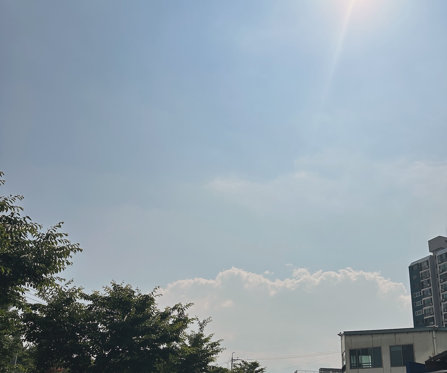 요즘 나의 하루☁️

오전에 애깅이들 산책시키고
저녁에 오빠 퇴근하면 저녁먹고 포켓몬고 하러 다녀오기🚶‍♀️🚶

덕분에 이쁜 하늘 사진도 잔뜩 찍기🩵